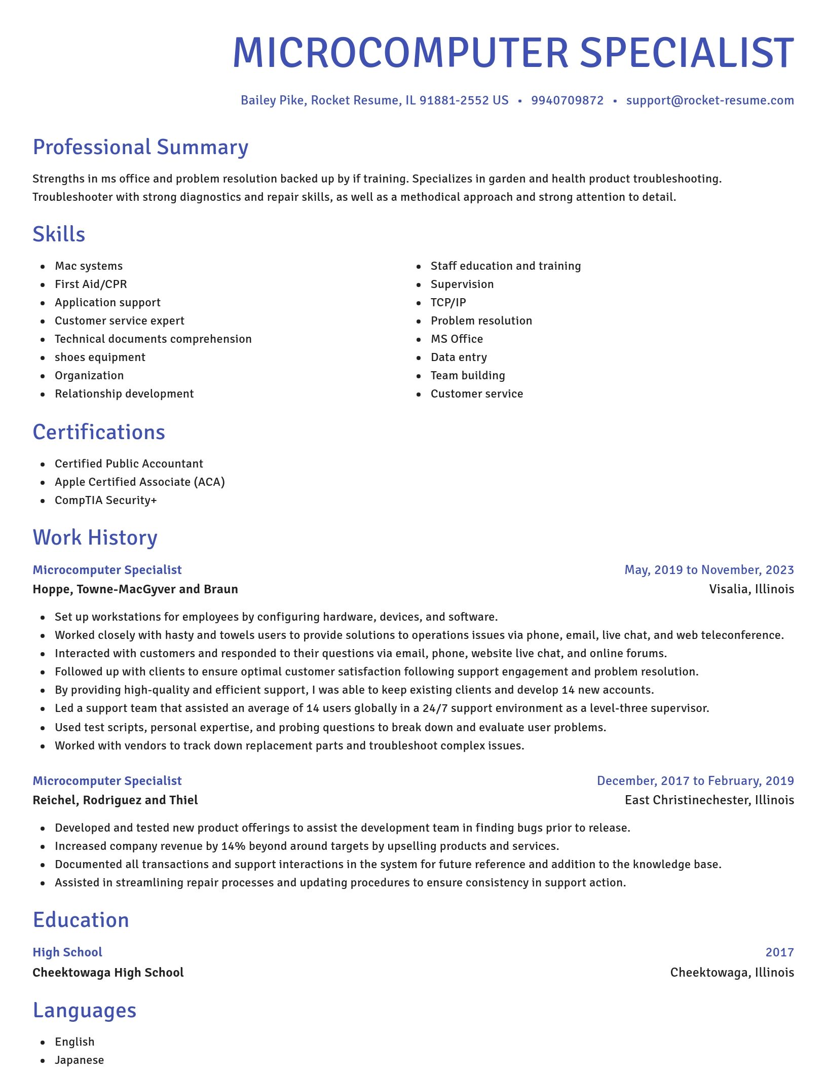 Novel resume template