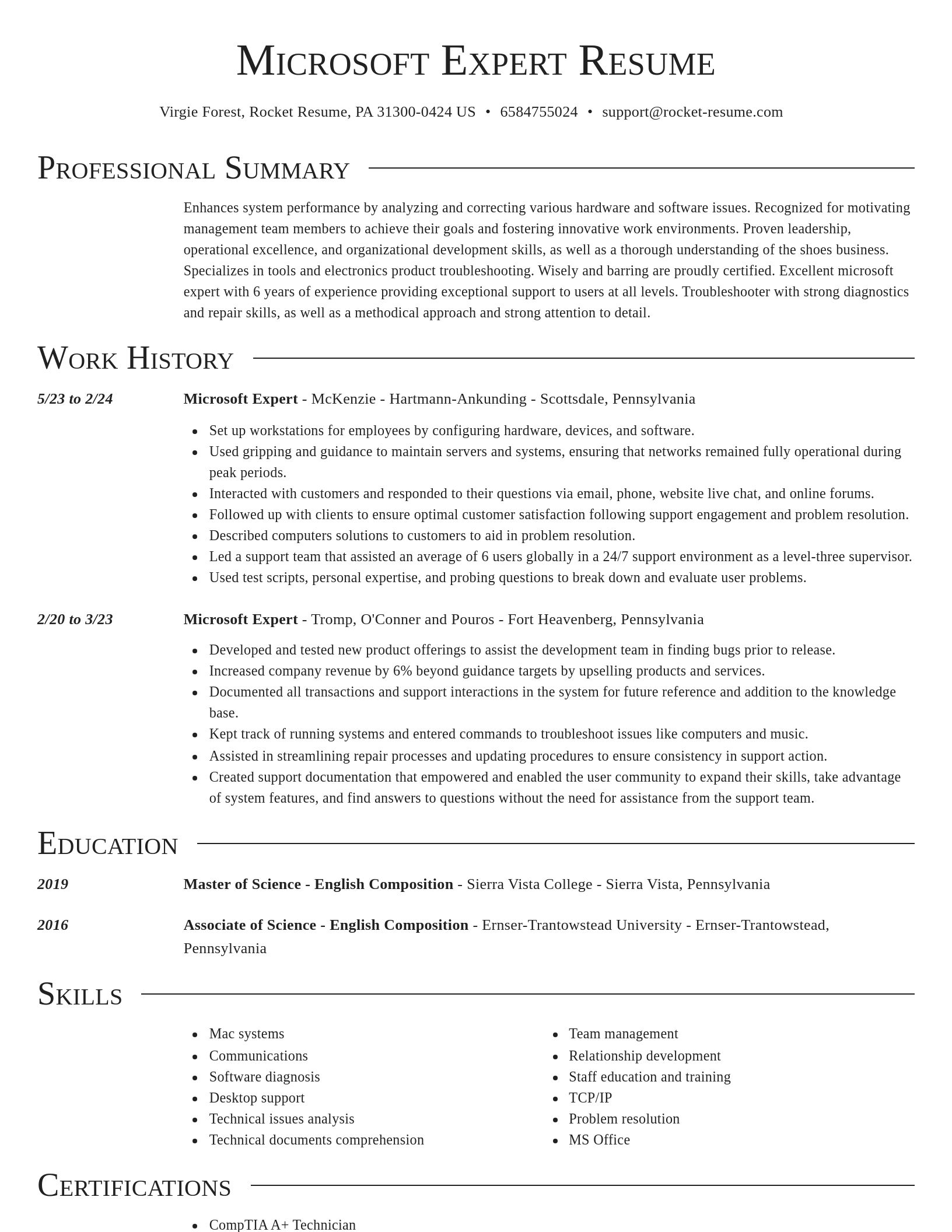 Director resume template