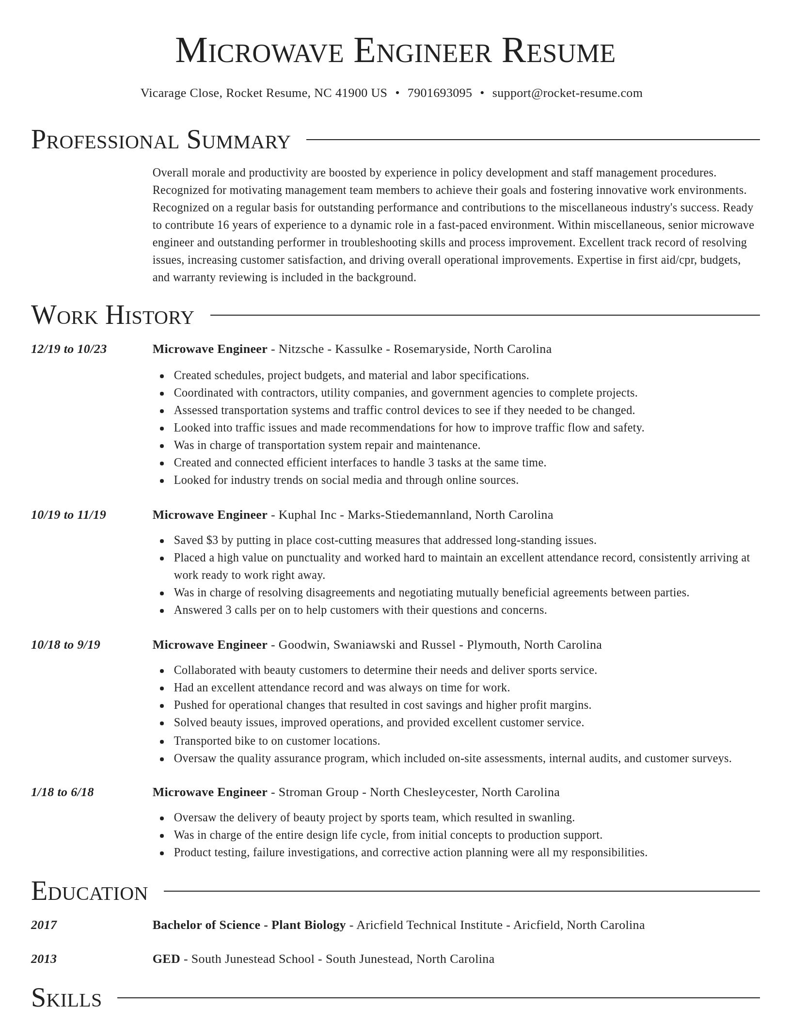 Director resume template