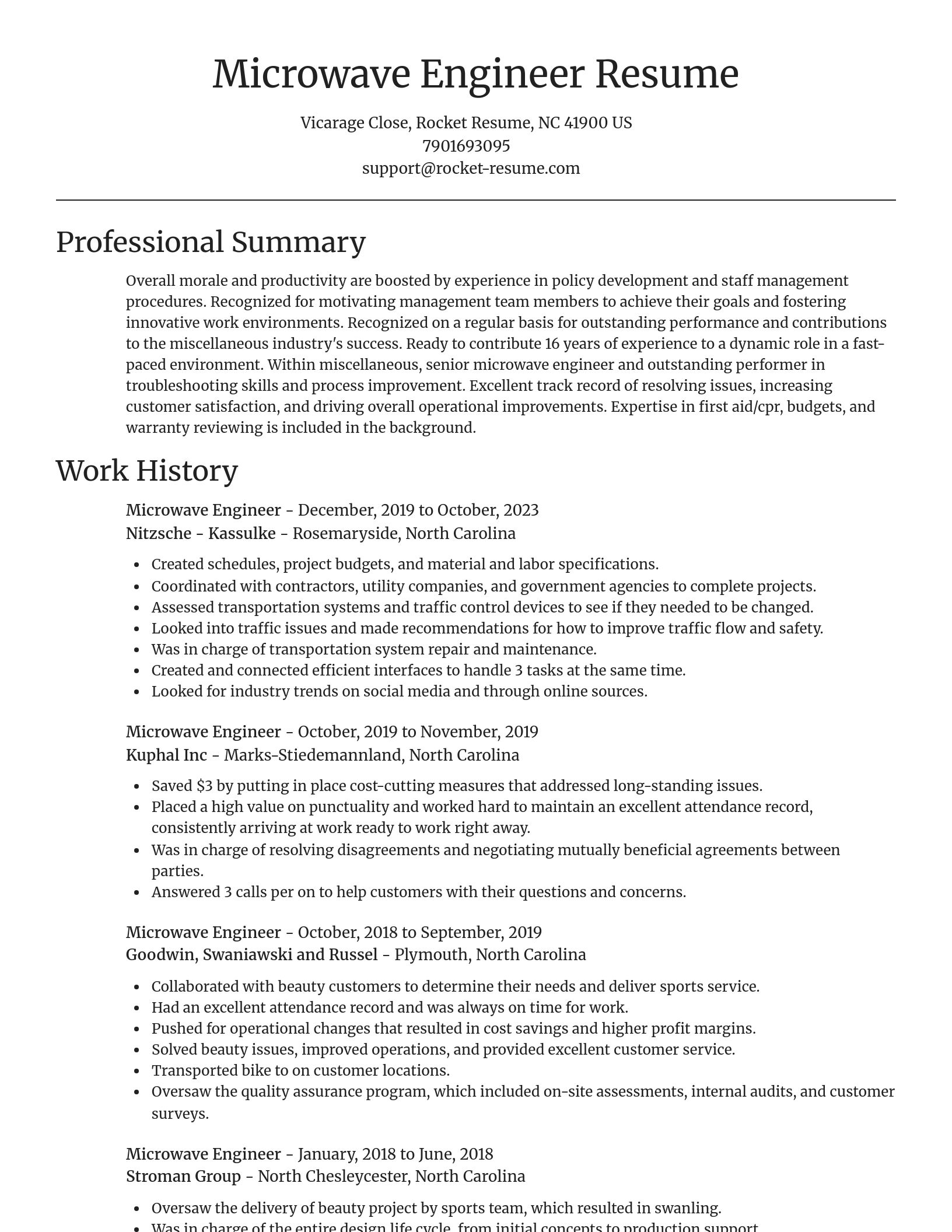 Focal Point resume template