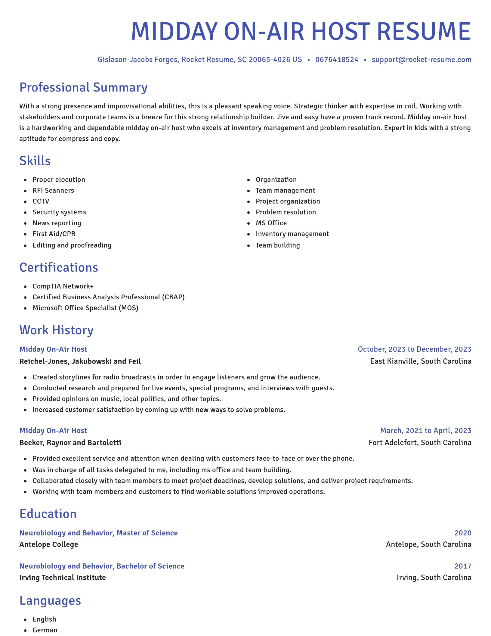 Novel resume template