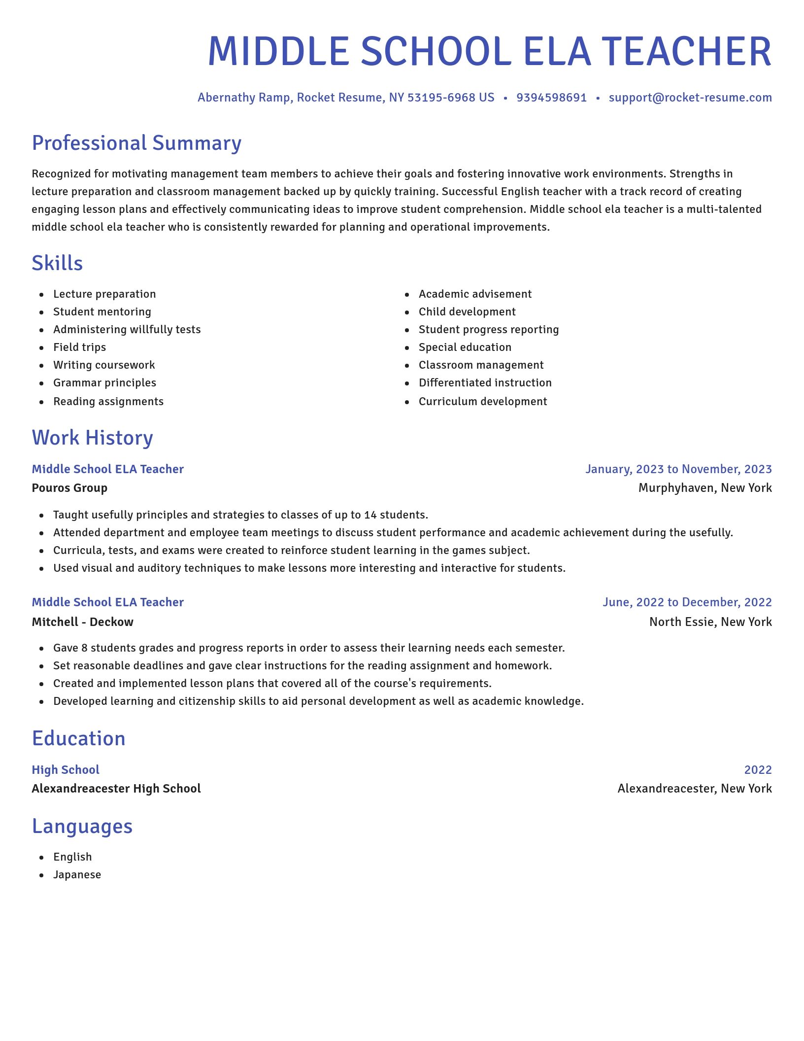 Novel resume template