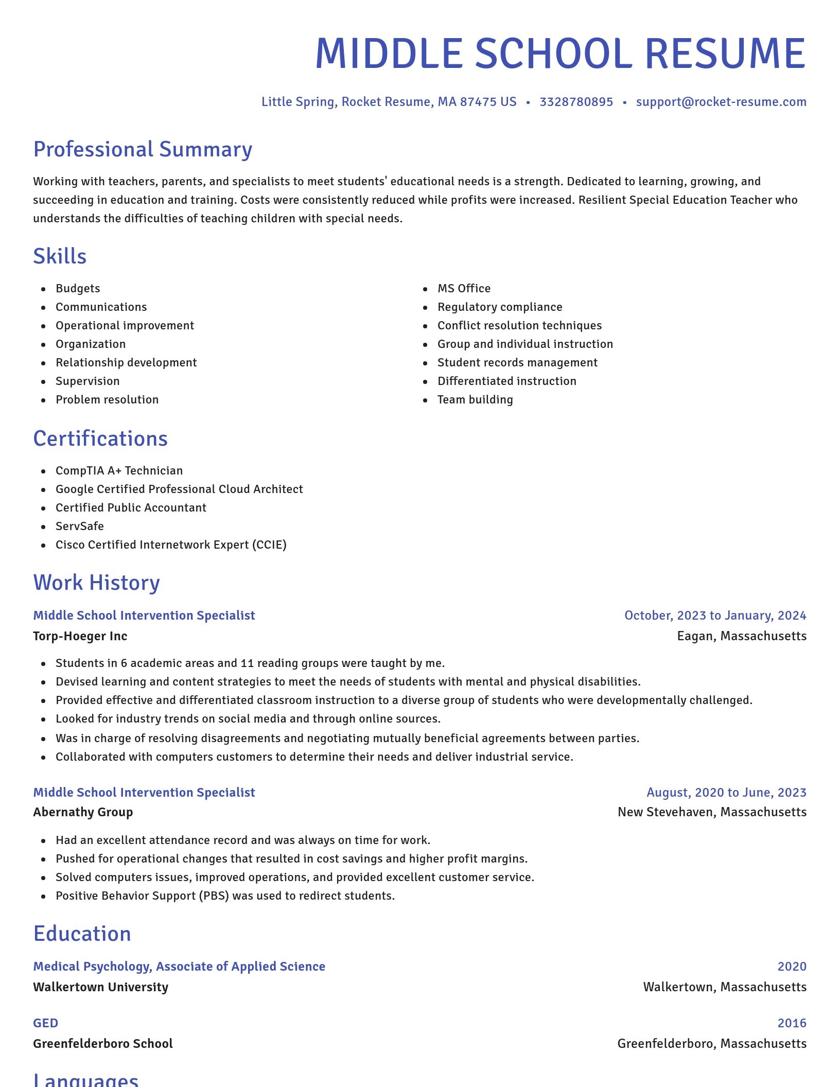 Novel resume template