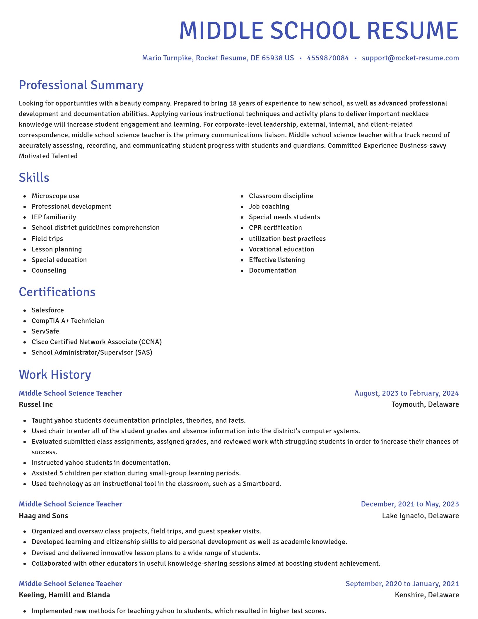 Novel resume template