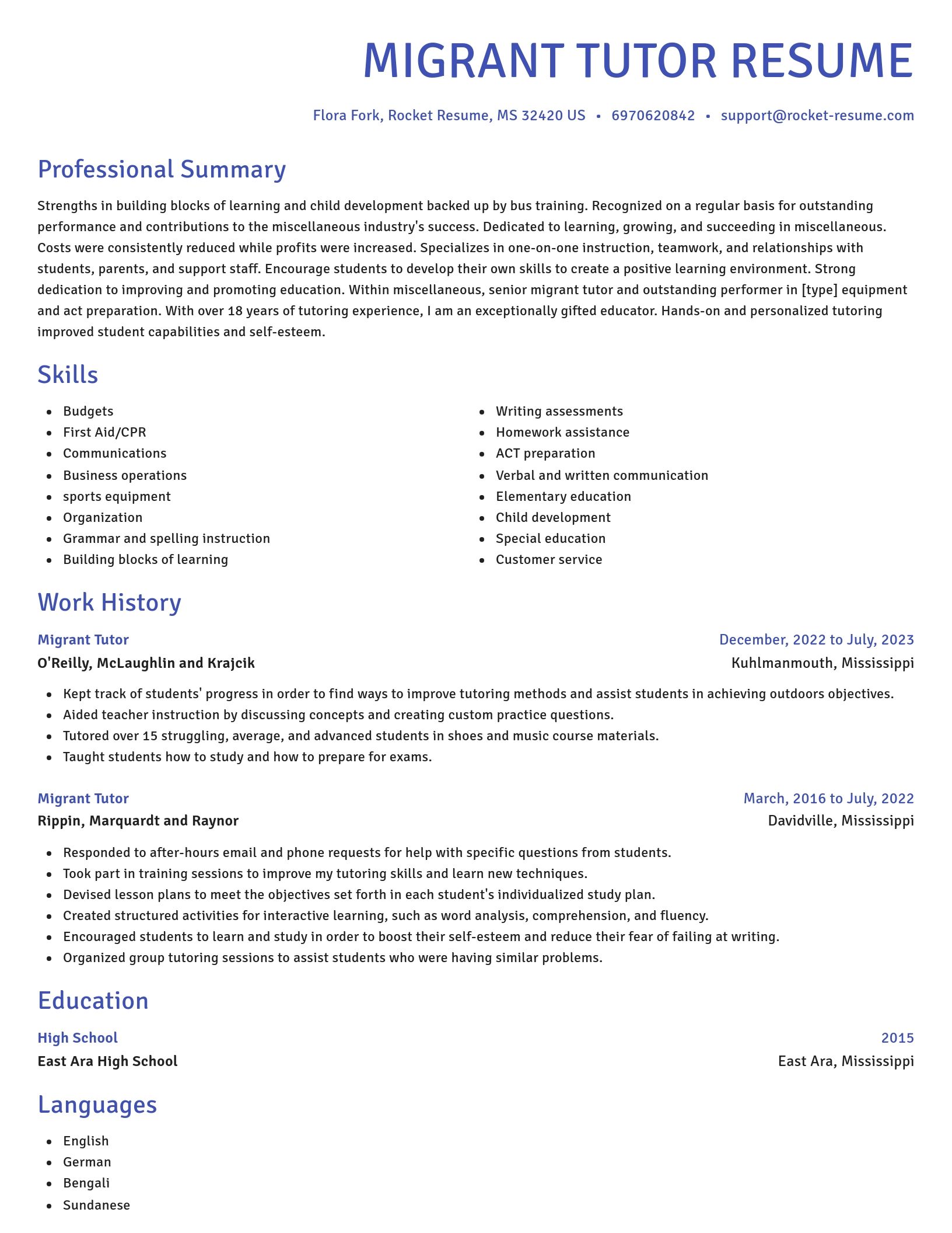 Novel resume template