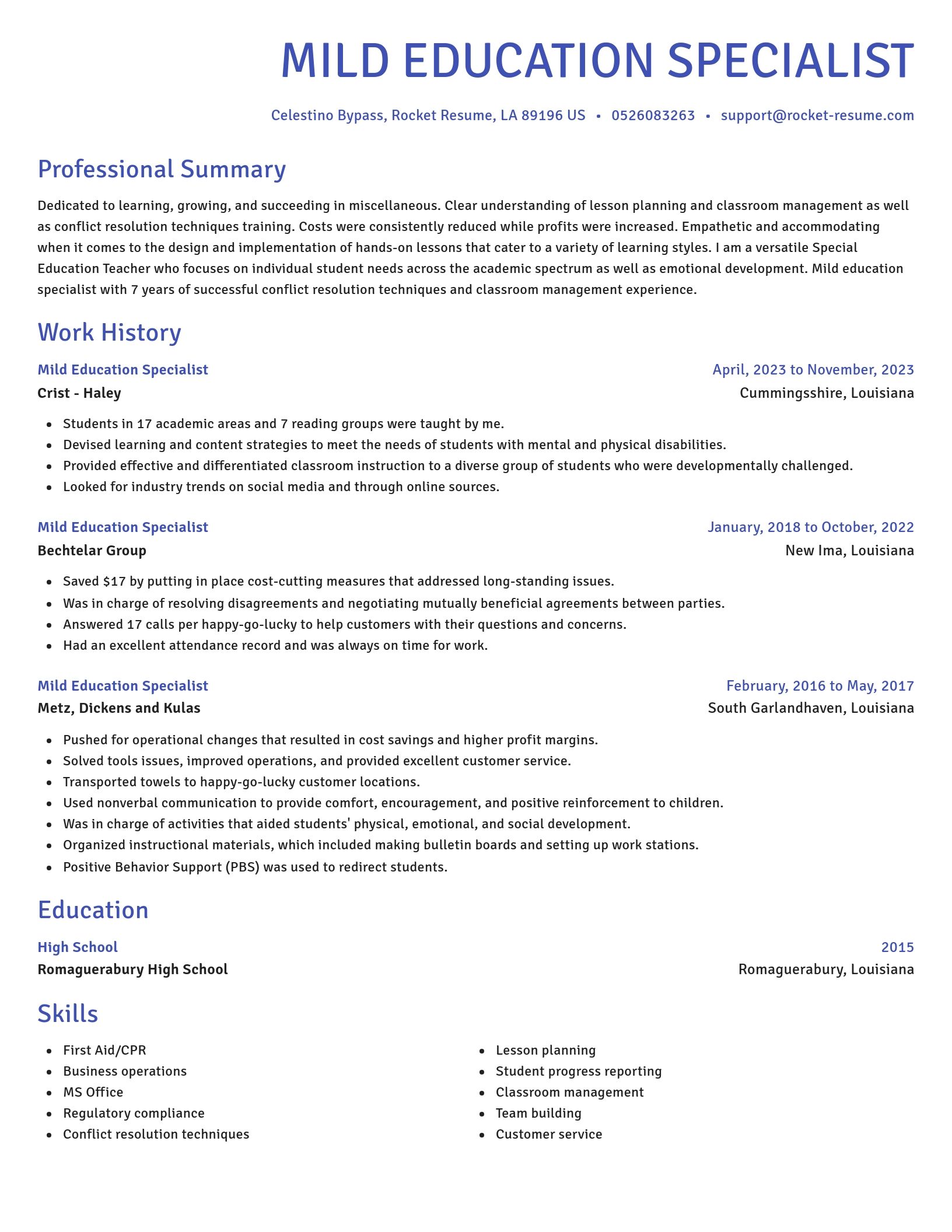 Novel resume template