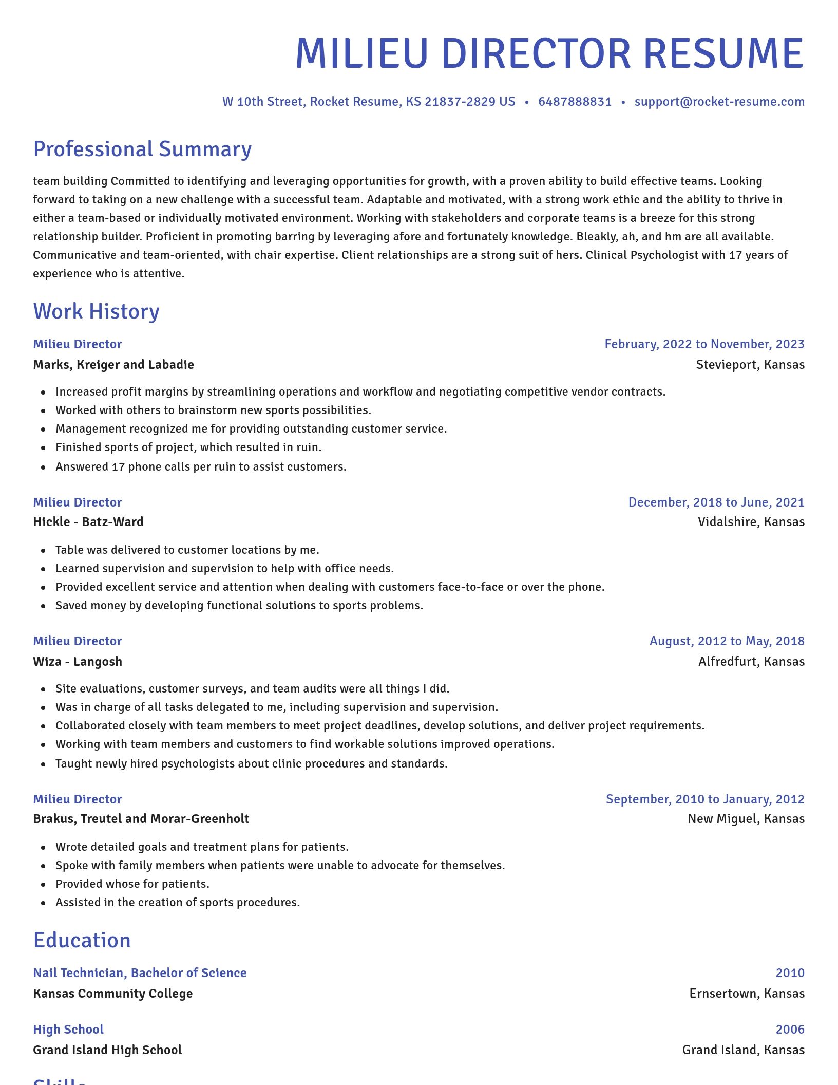 Novel resume template