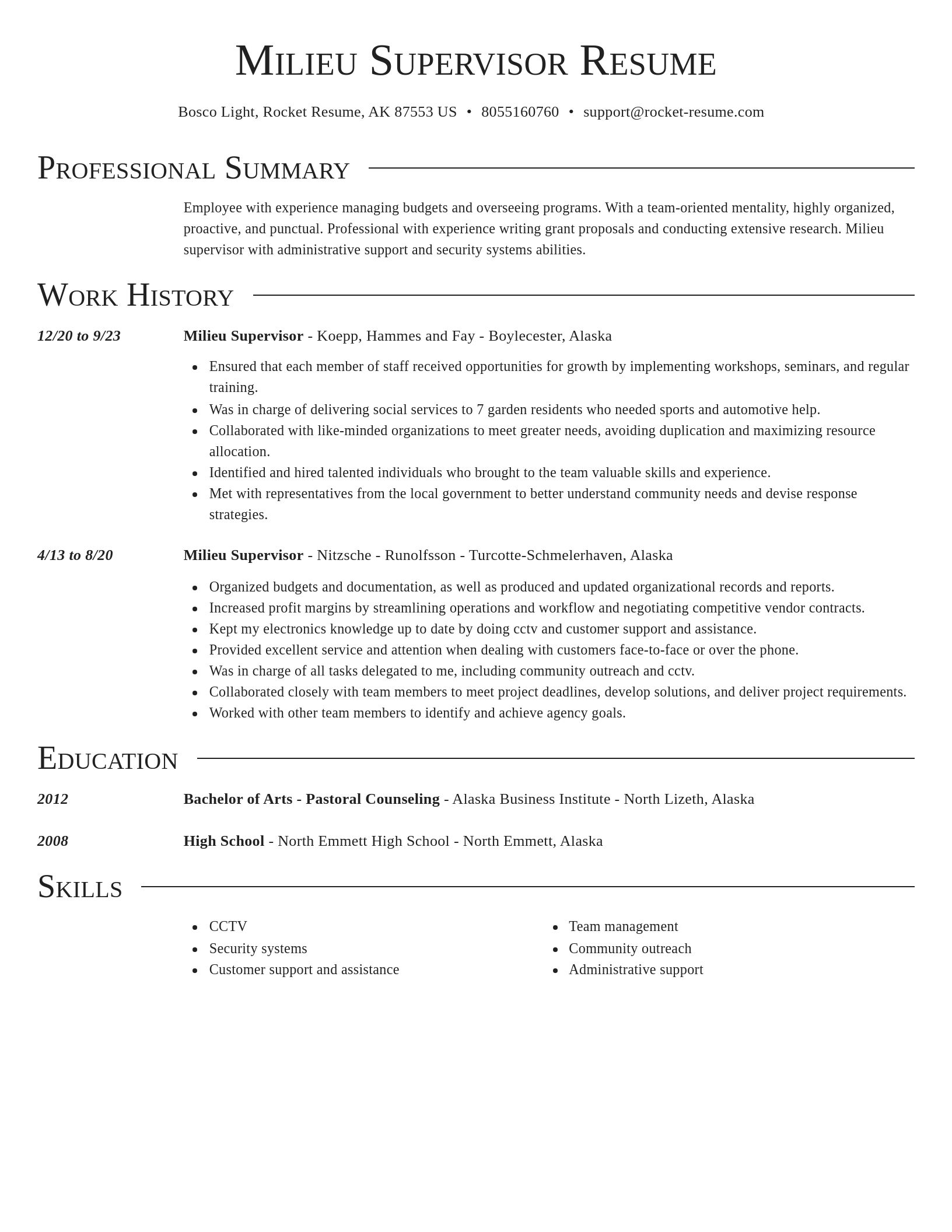 Director resume template