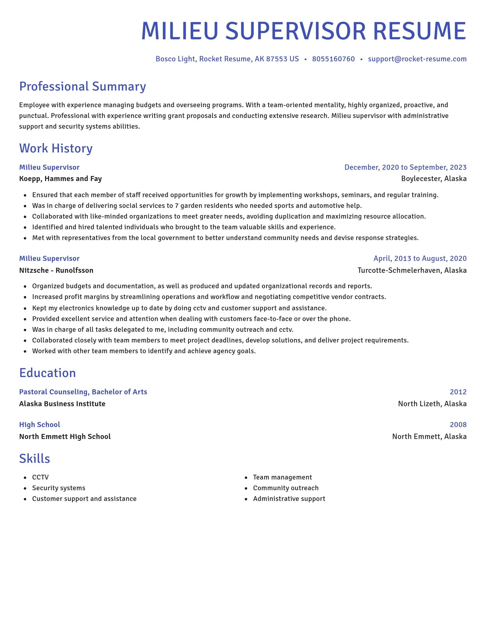 Novel resume template