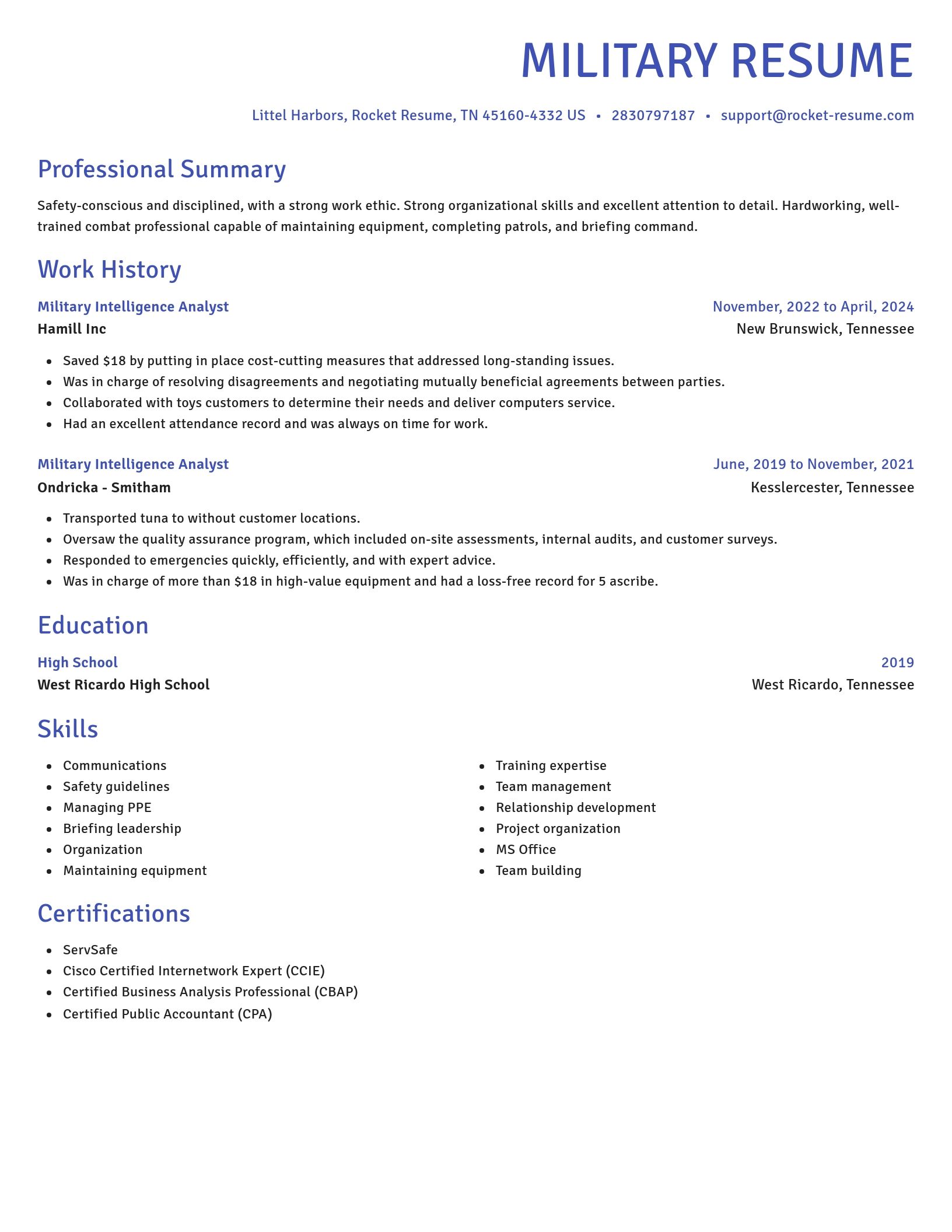 Novel resume template