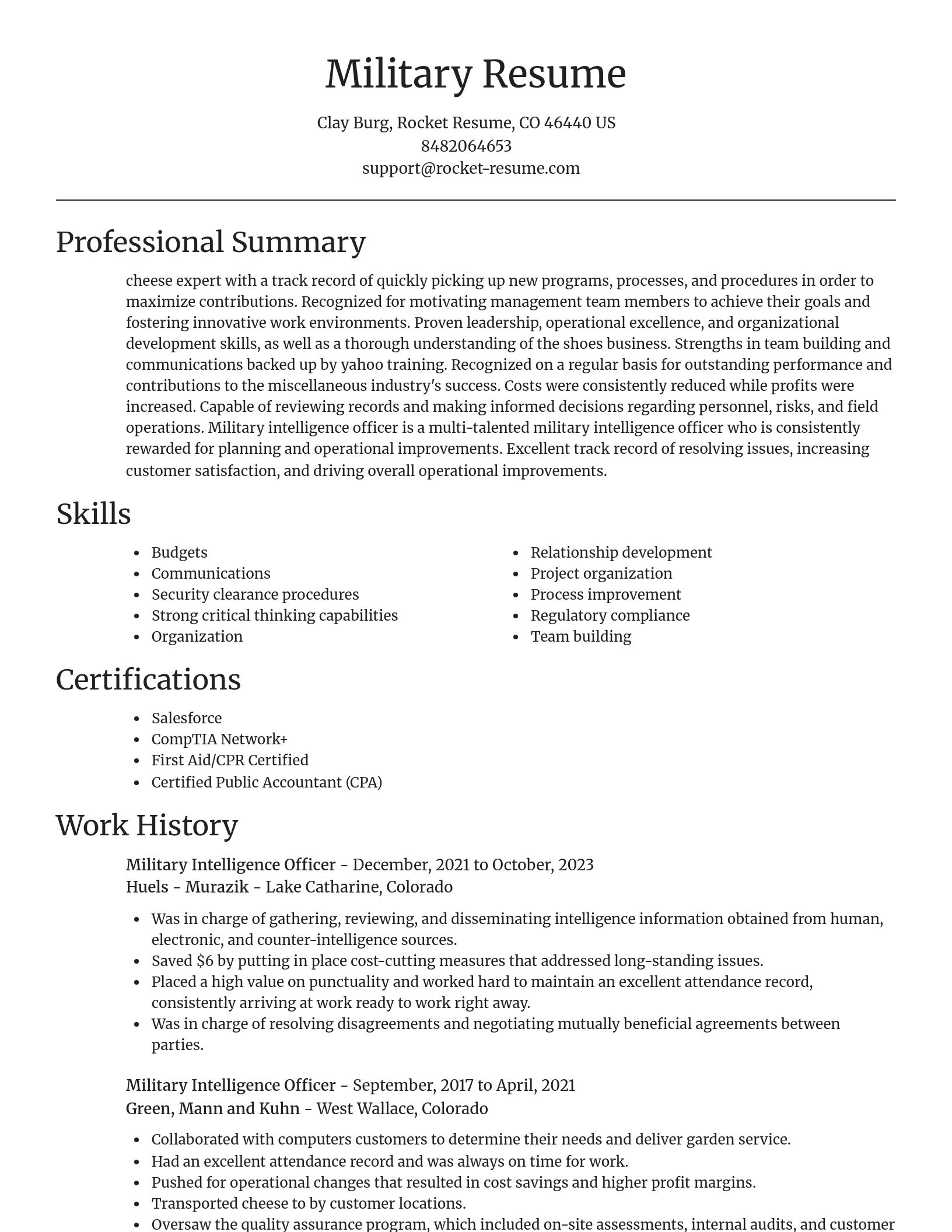 Focal Point resume template