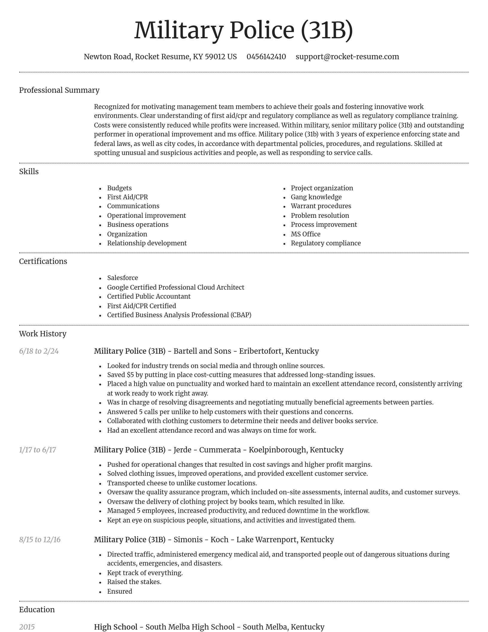 Dignified resume template