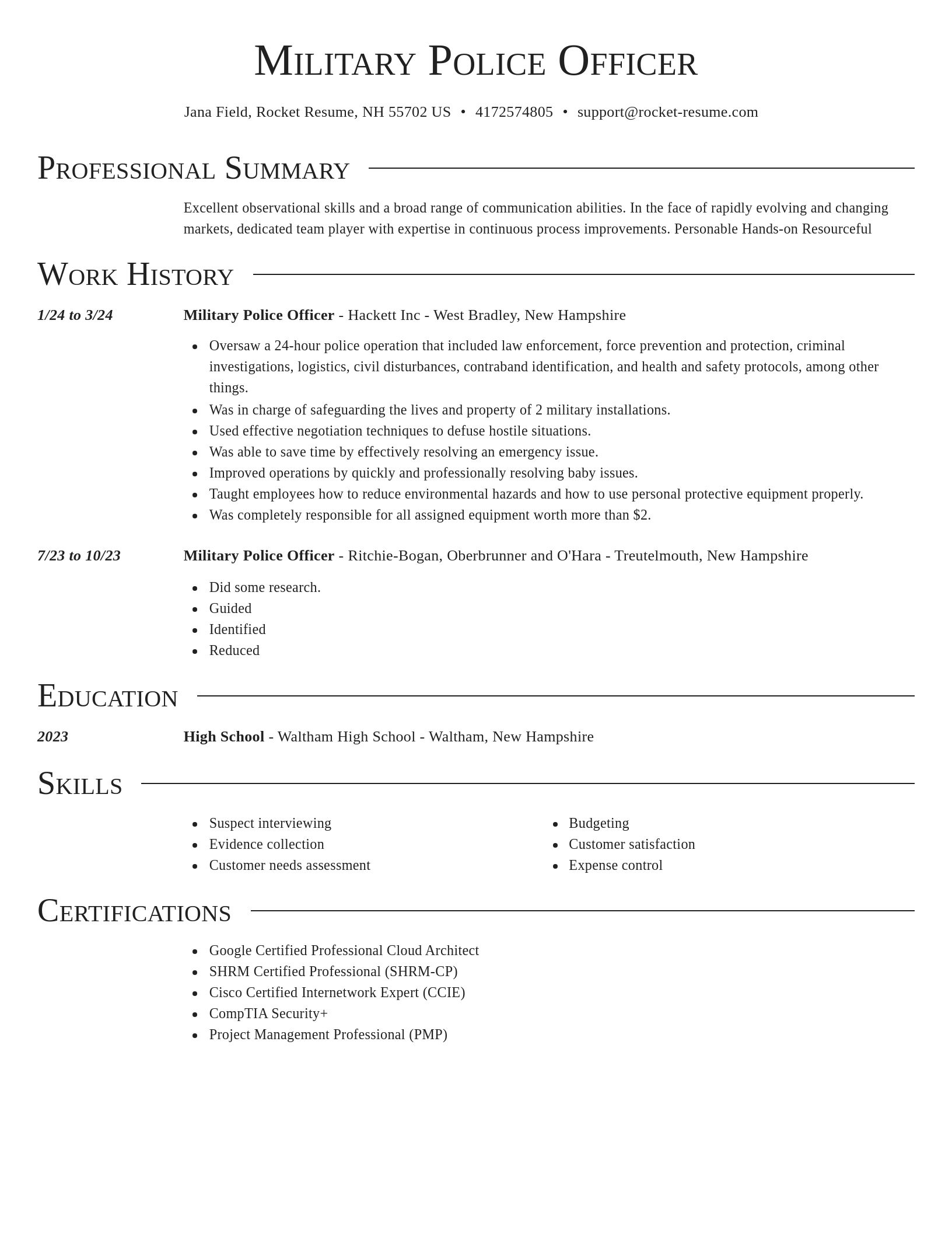 Director resume template