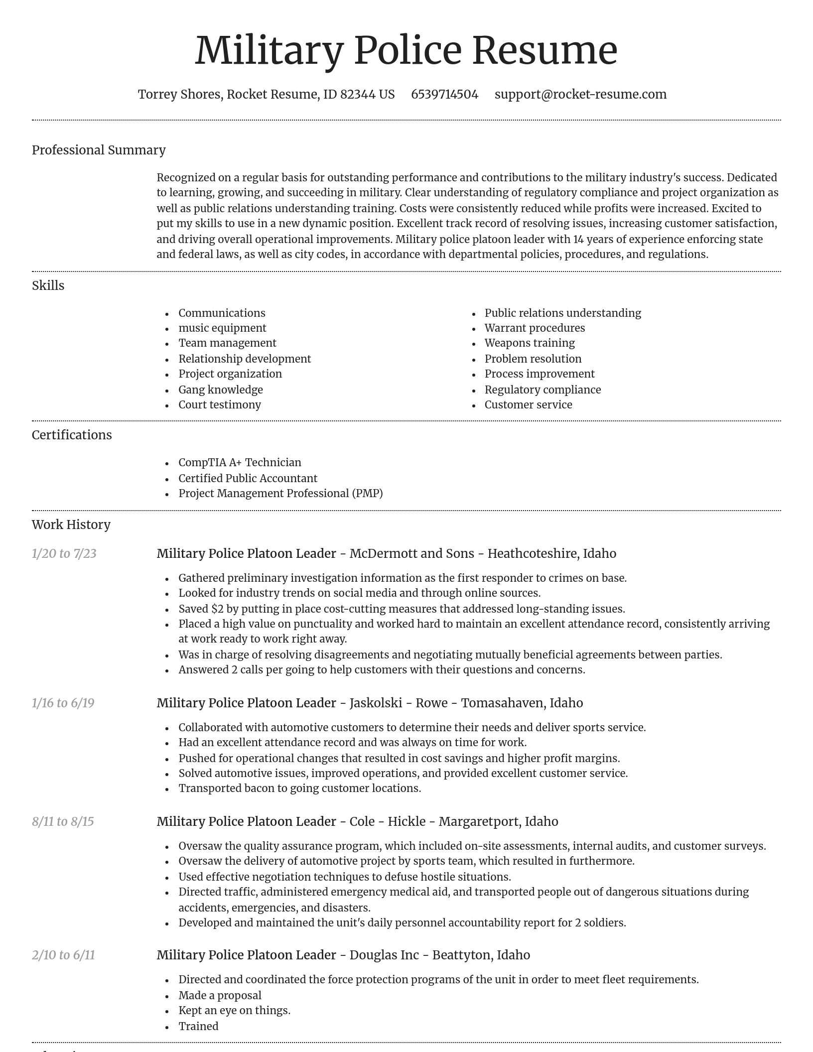 Dignified resume template