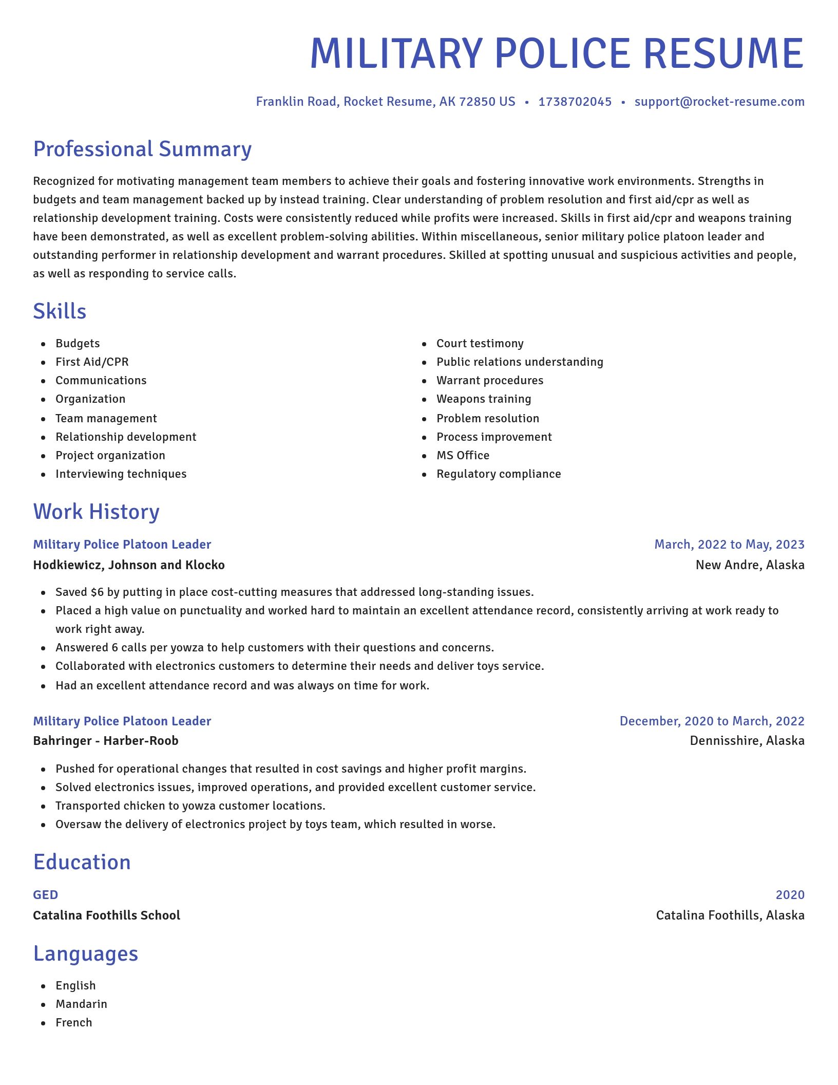Novel resume template