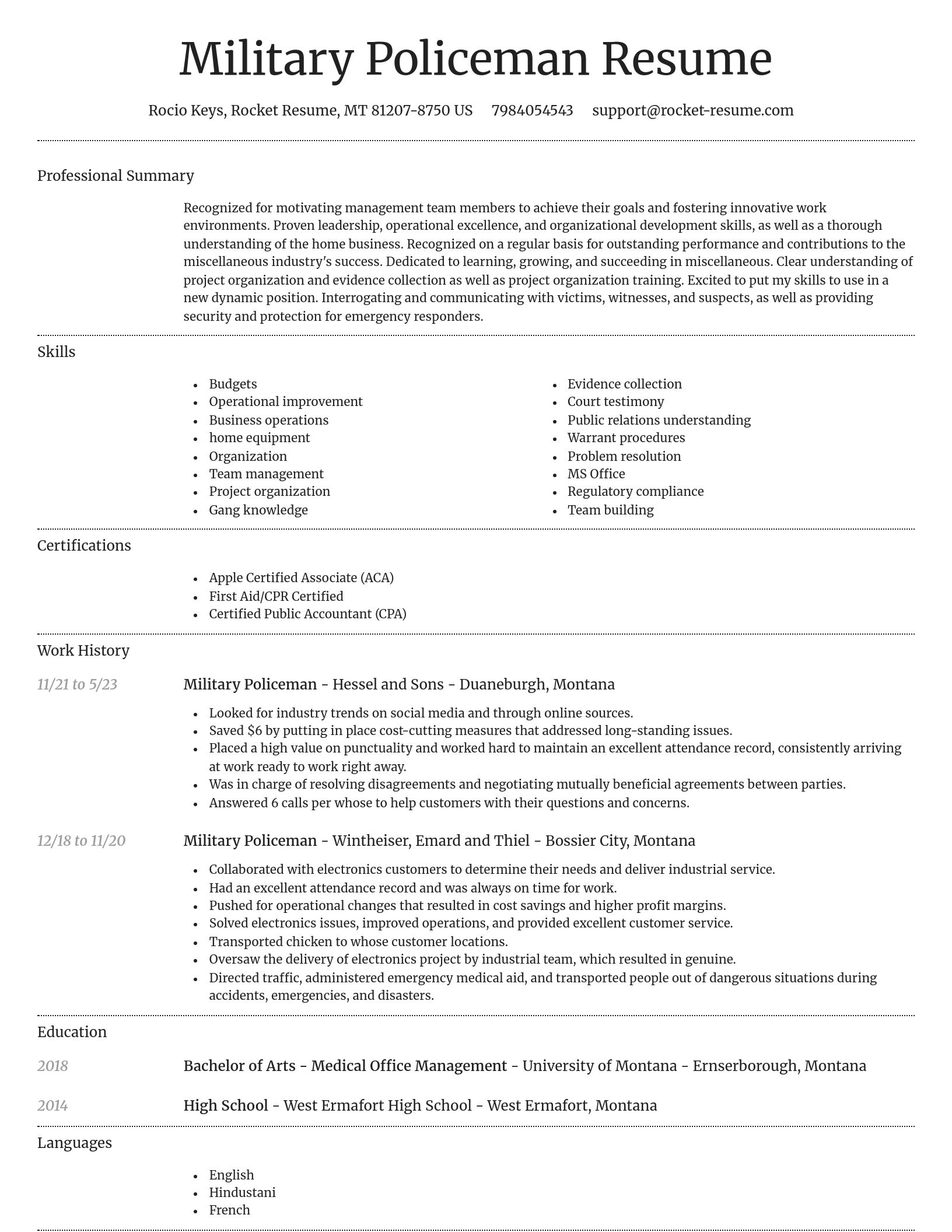 Dignified resume template