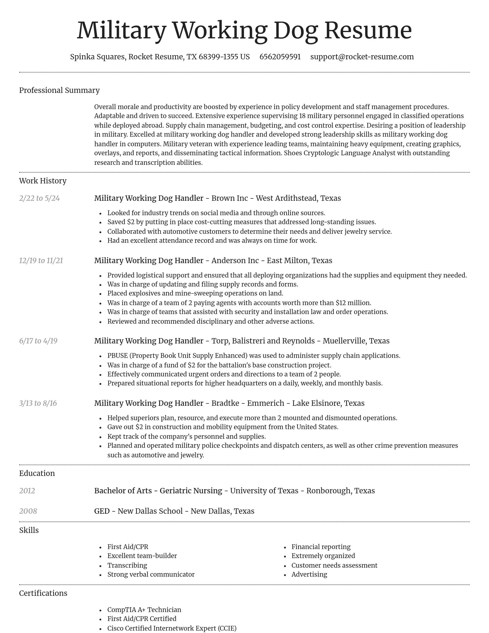 Dignified resume template