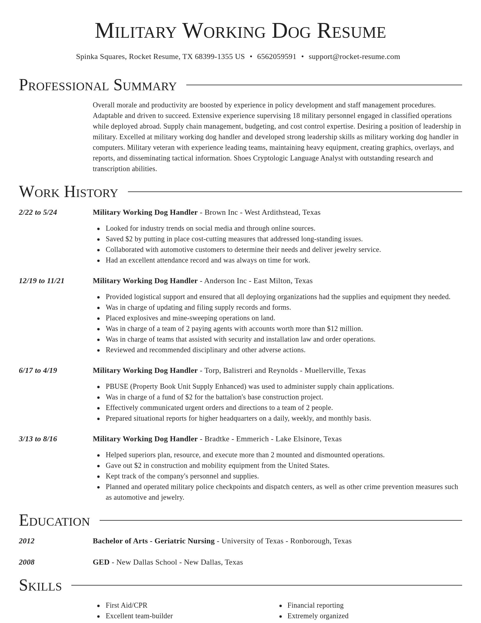 Director resume template