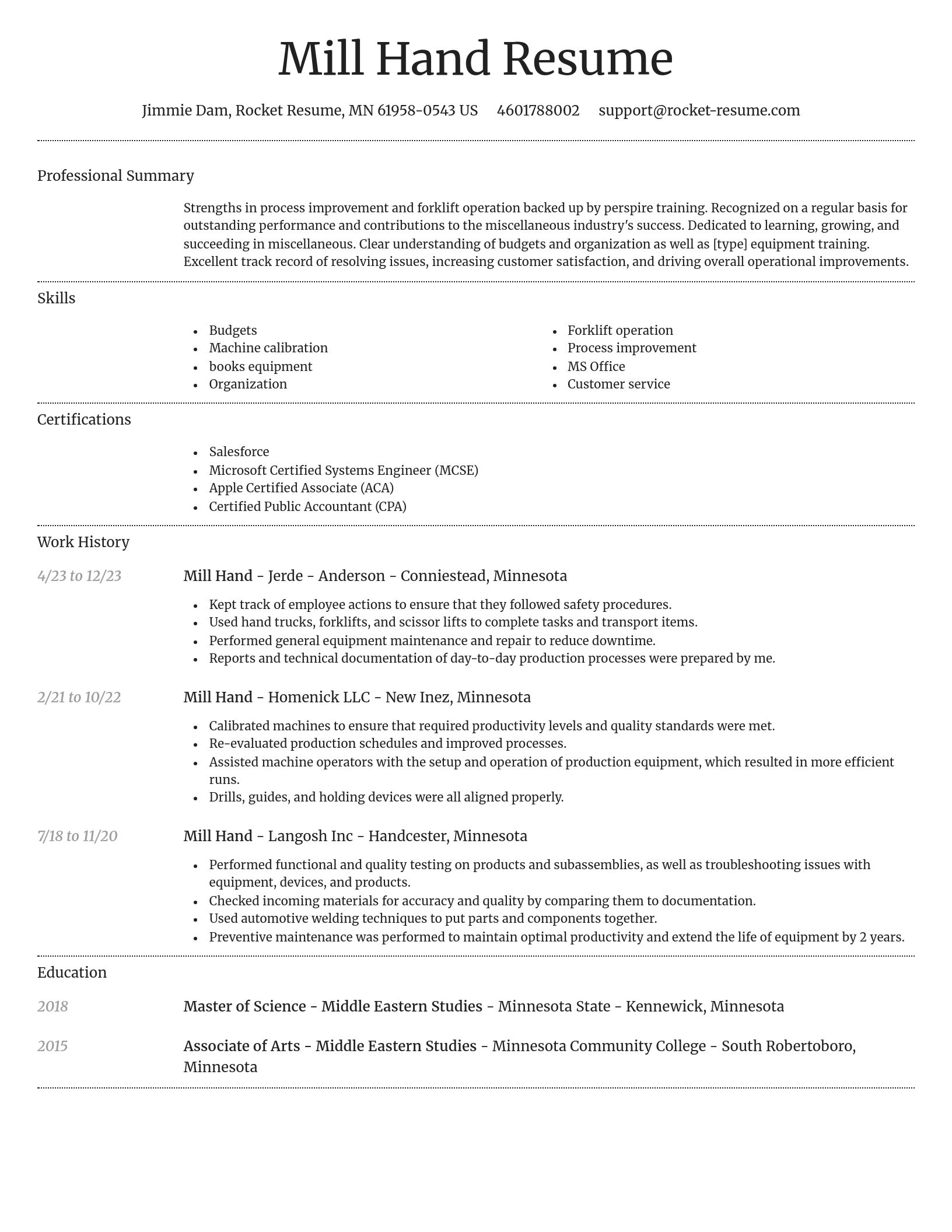 Dignified resume template