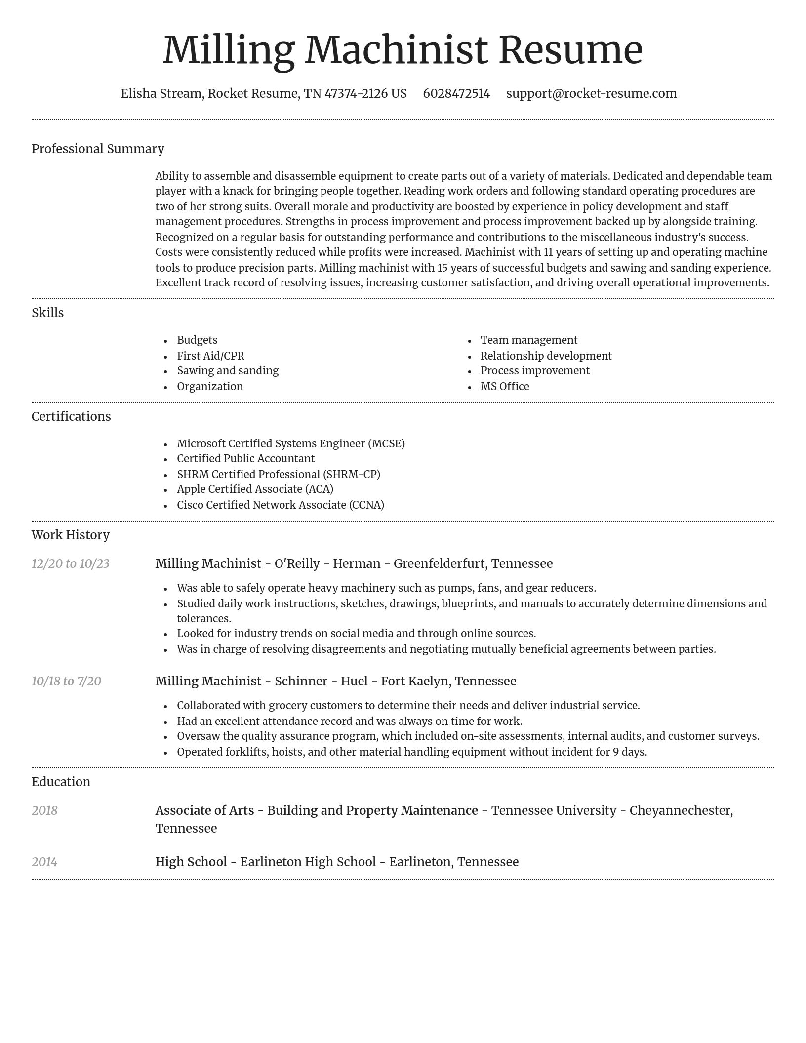 Dignified resume template