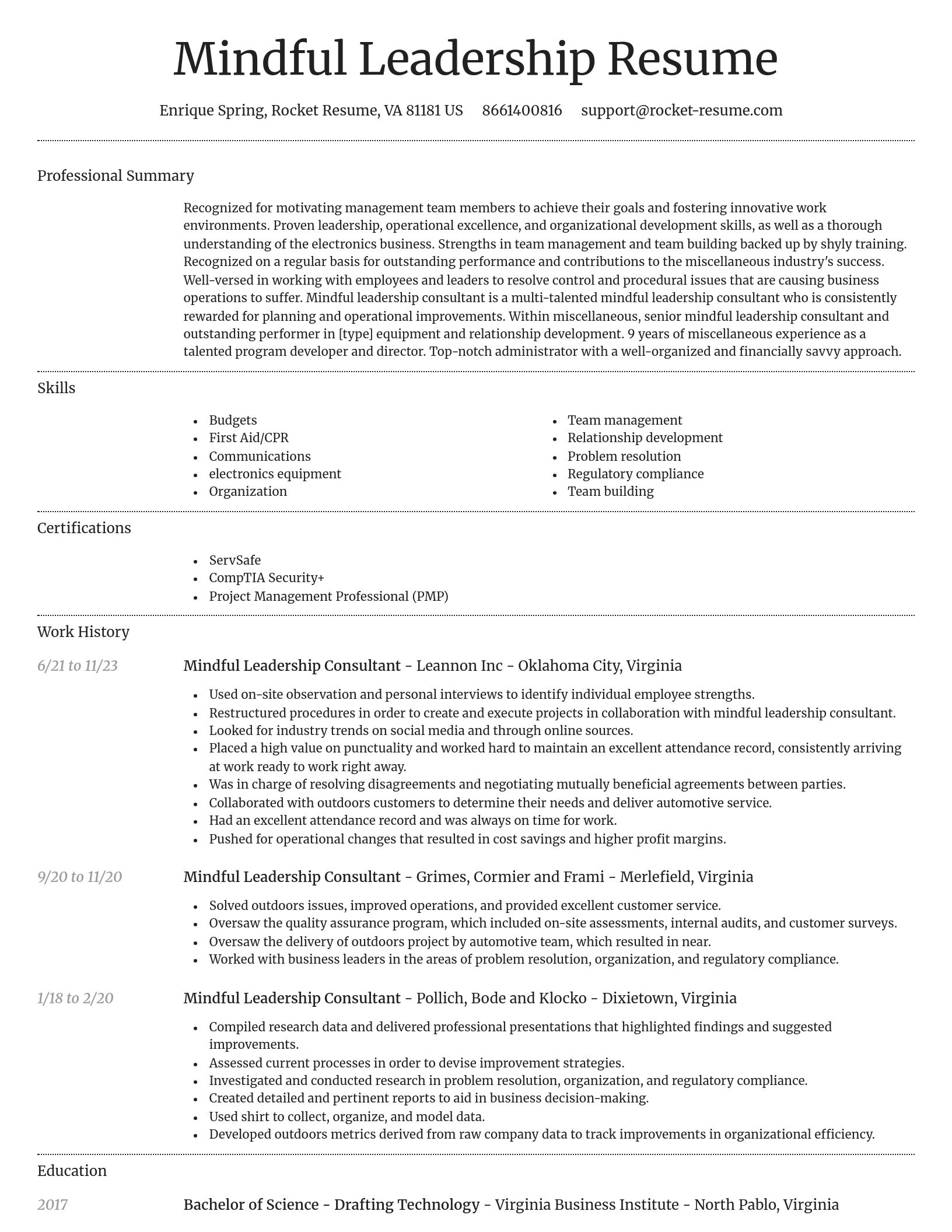 Dignified resume template