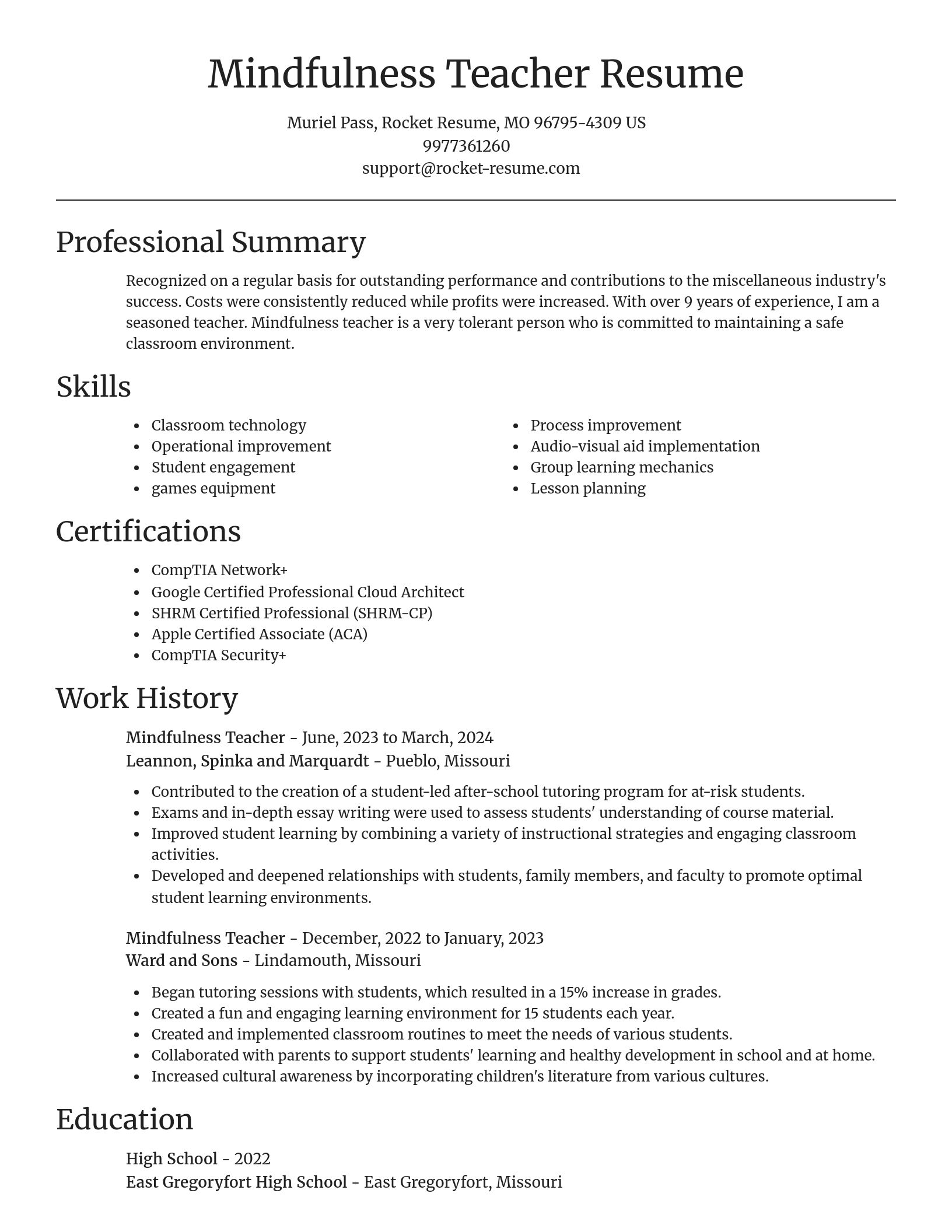 Focal Point resume template