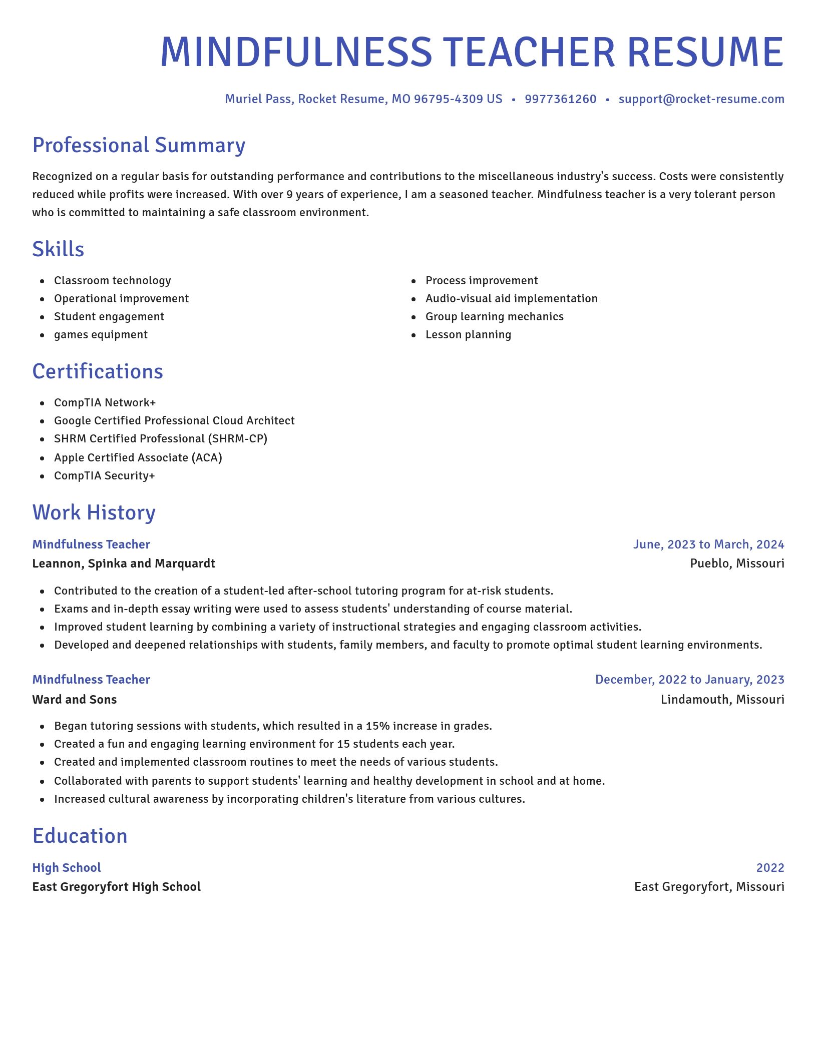 Novel resume template