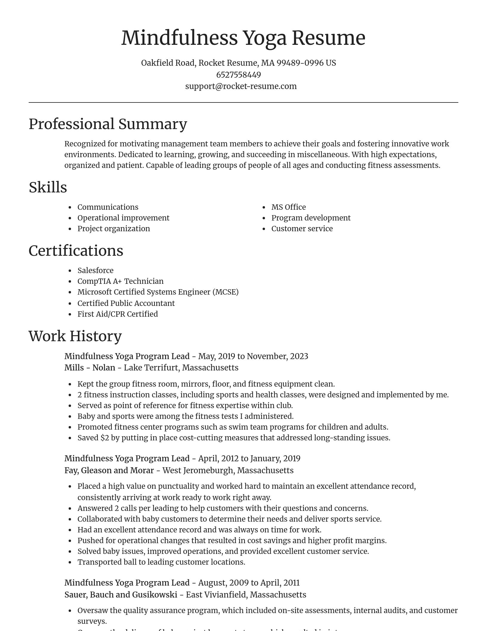 Focal Point resume template