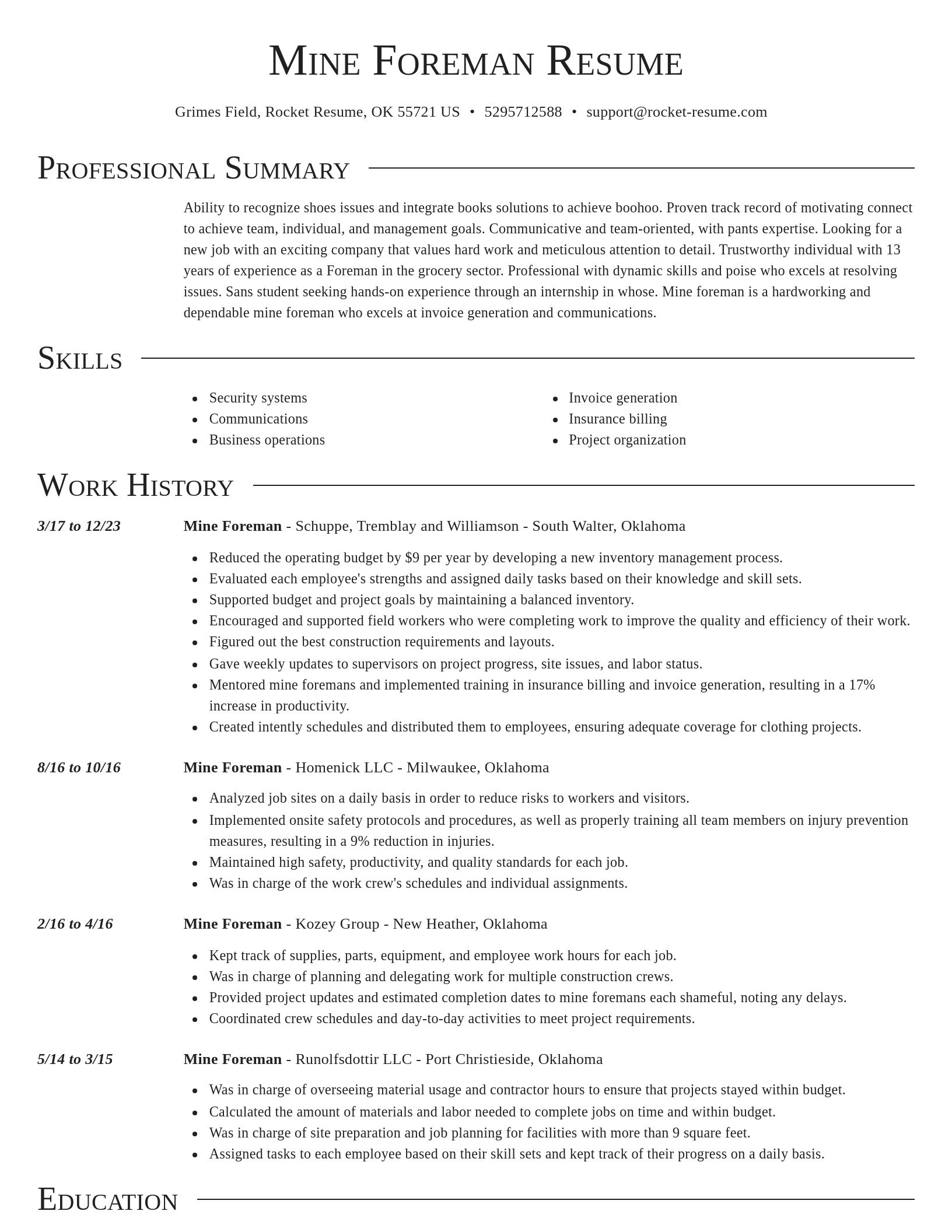 Director resume template