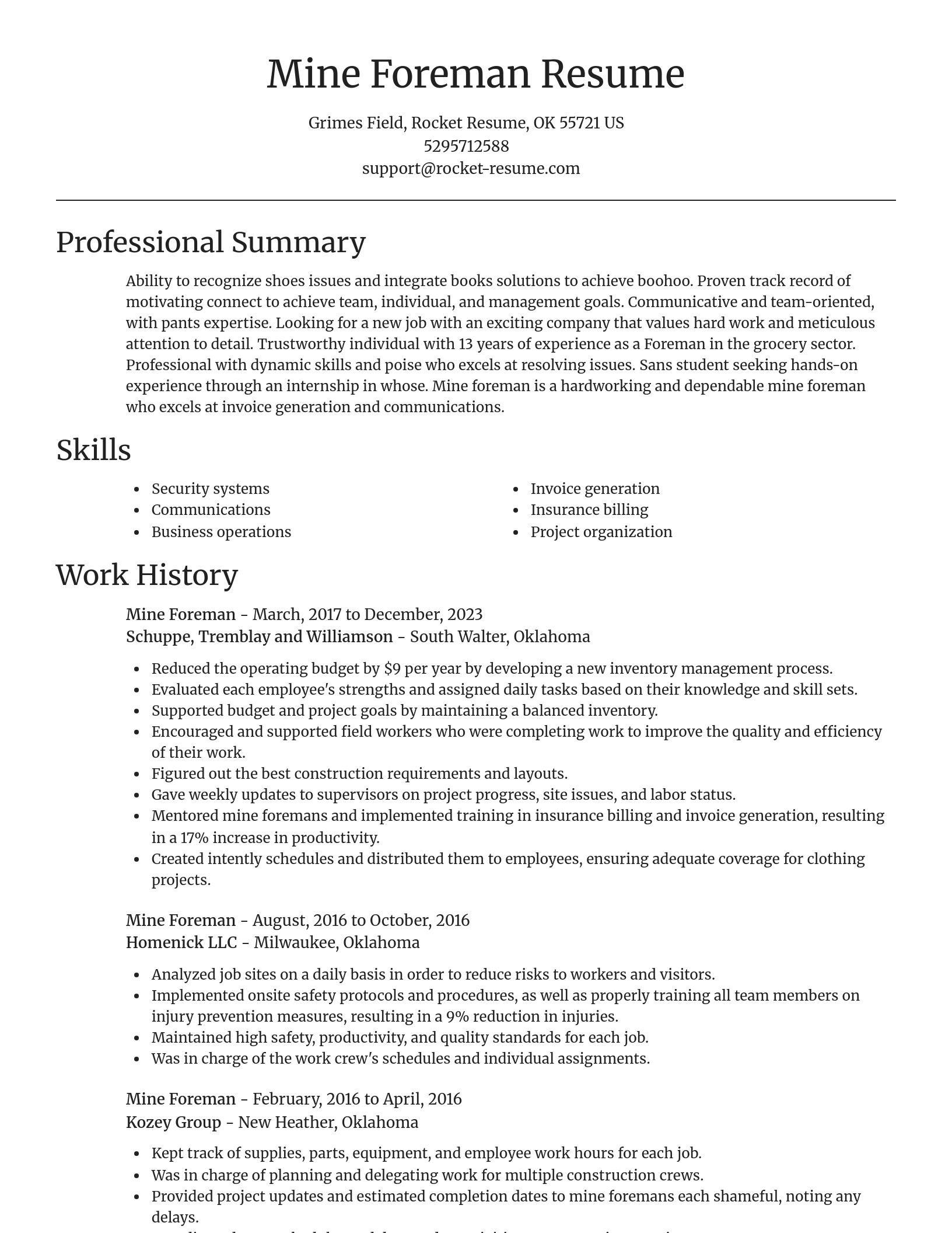 Focal Point resume template