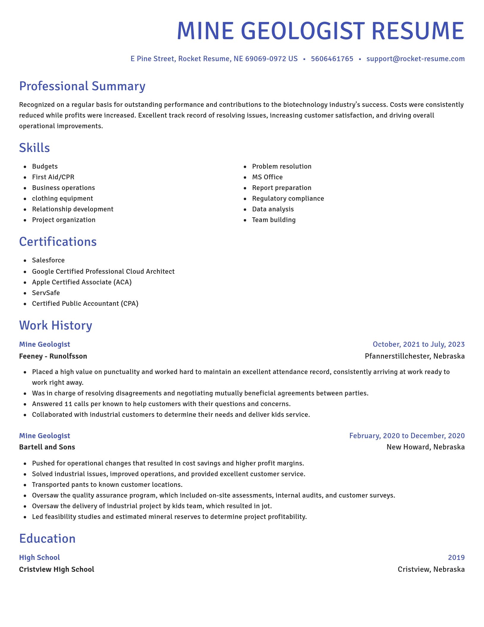 Novel resume template