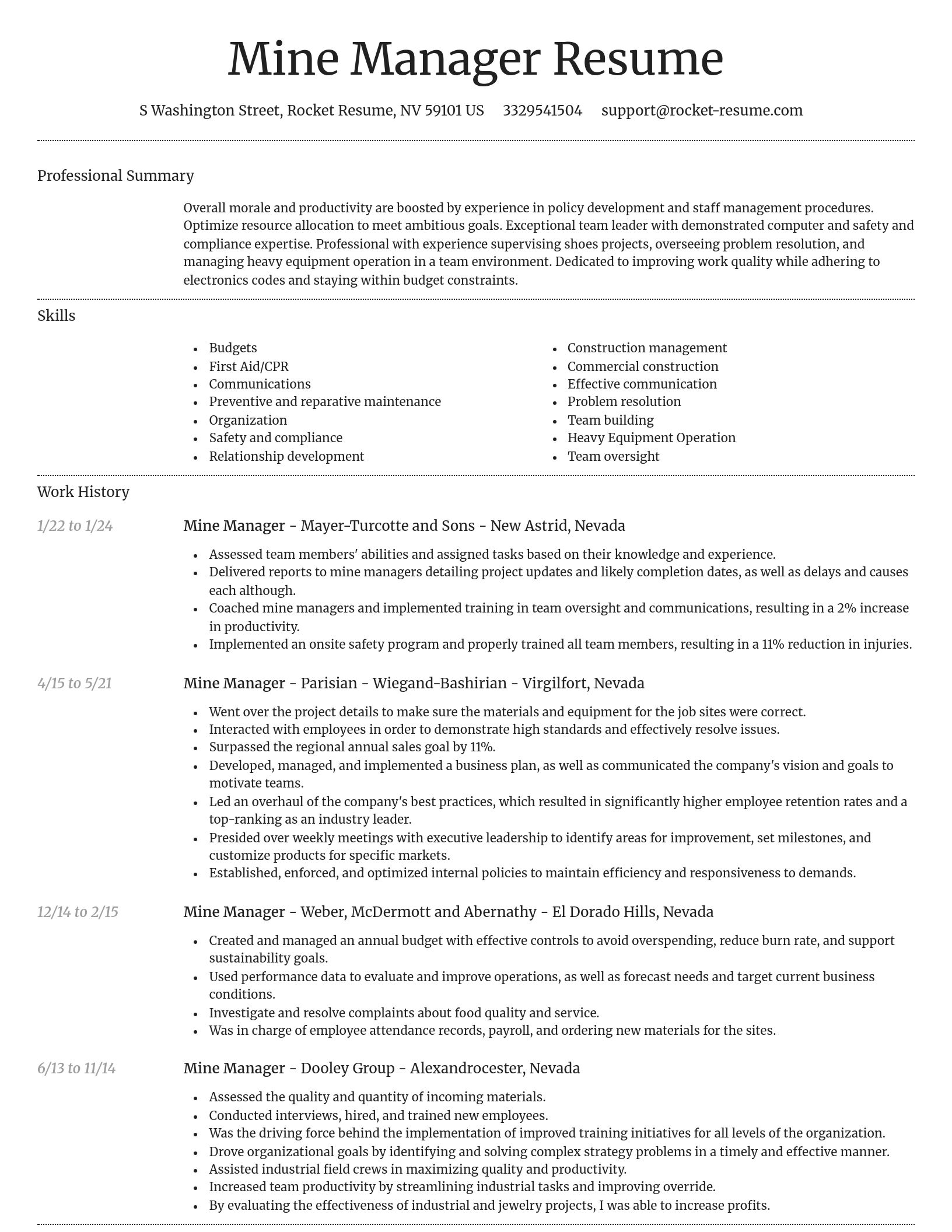 Dignified resume template