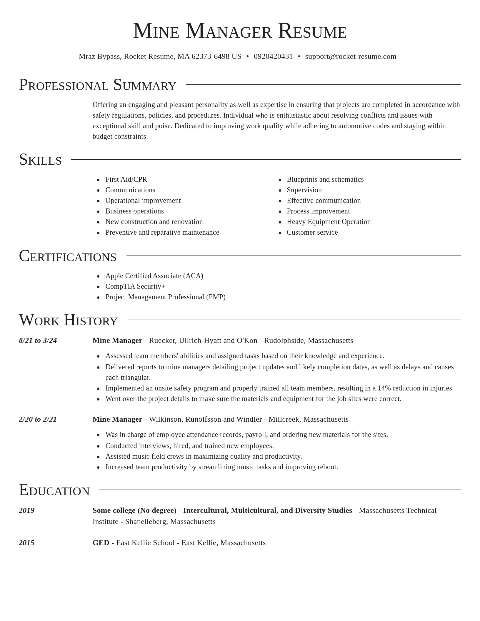 Director resume template