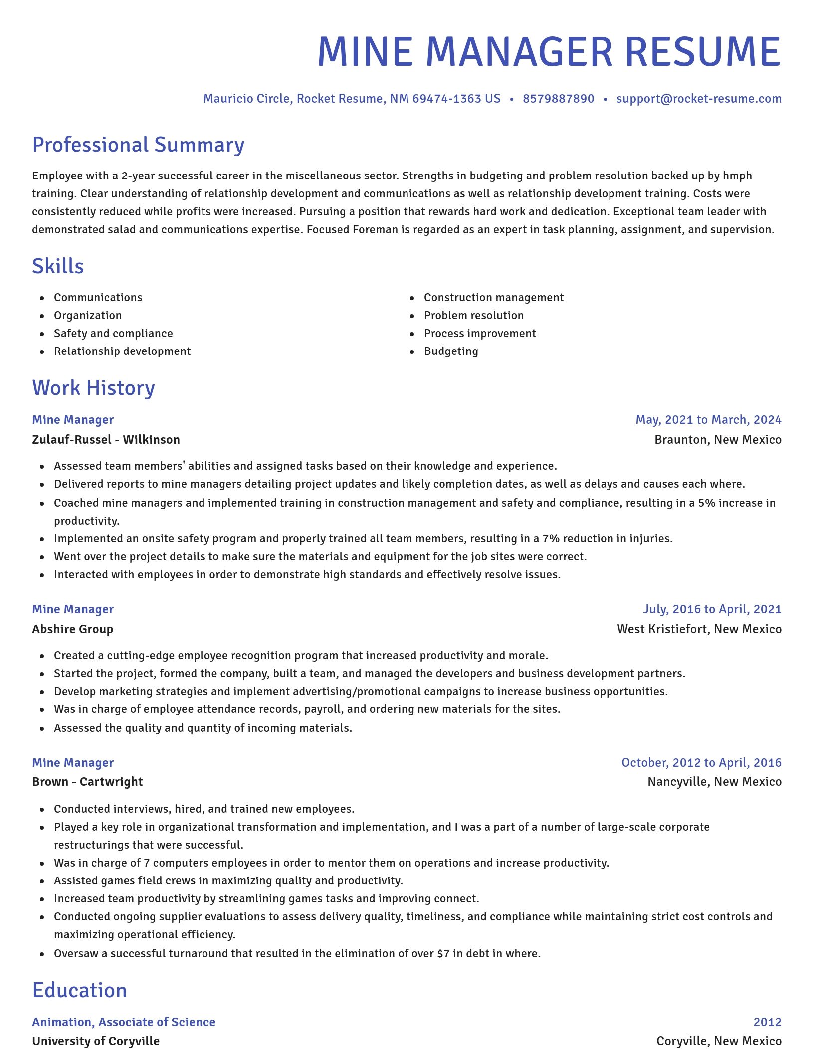 Novel resume template