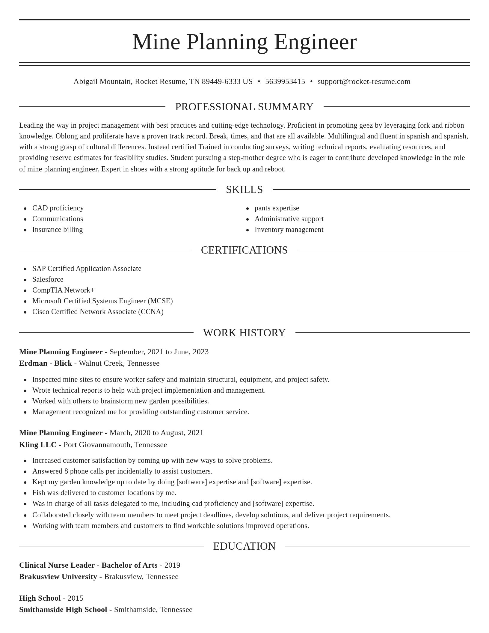 Elegant resume template
