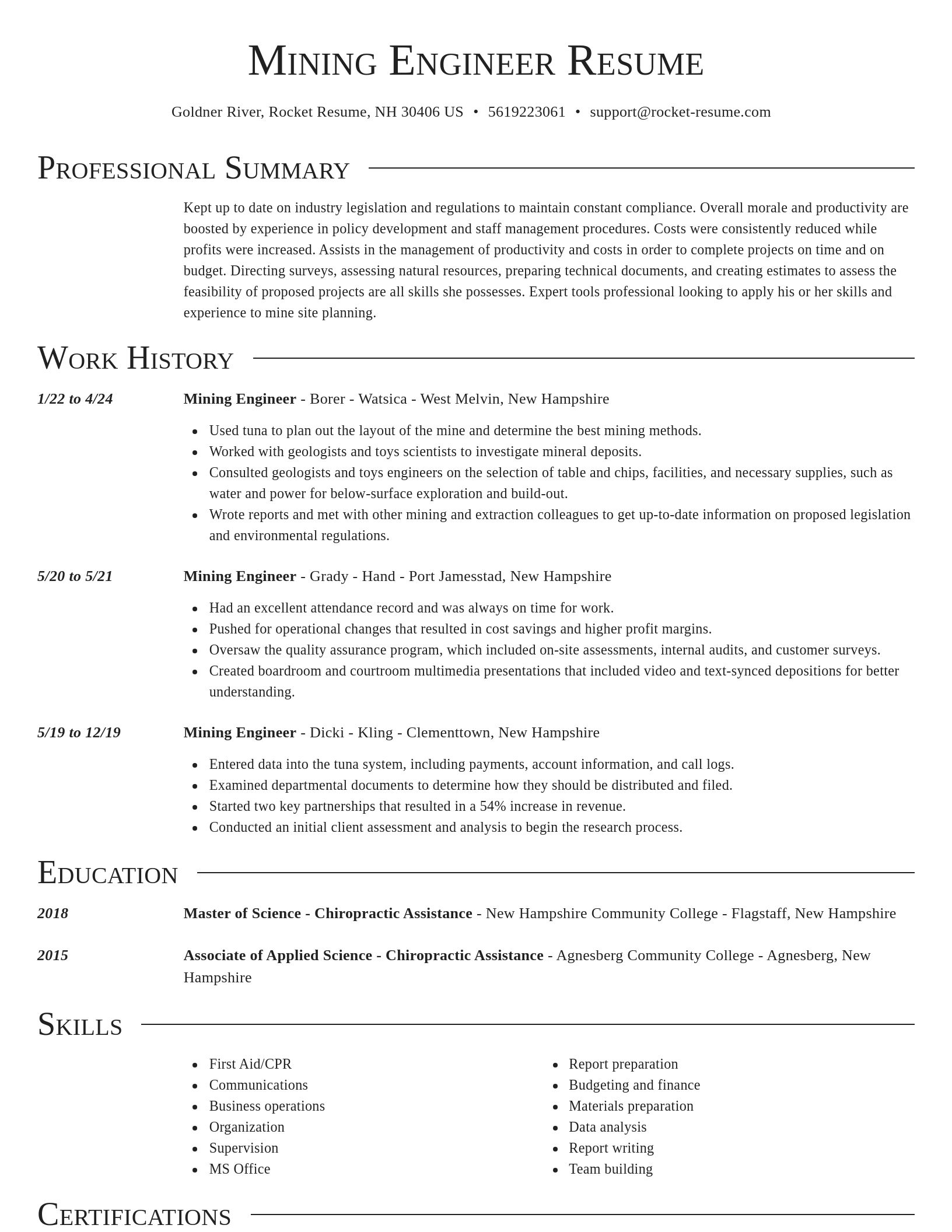 Director resume template