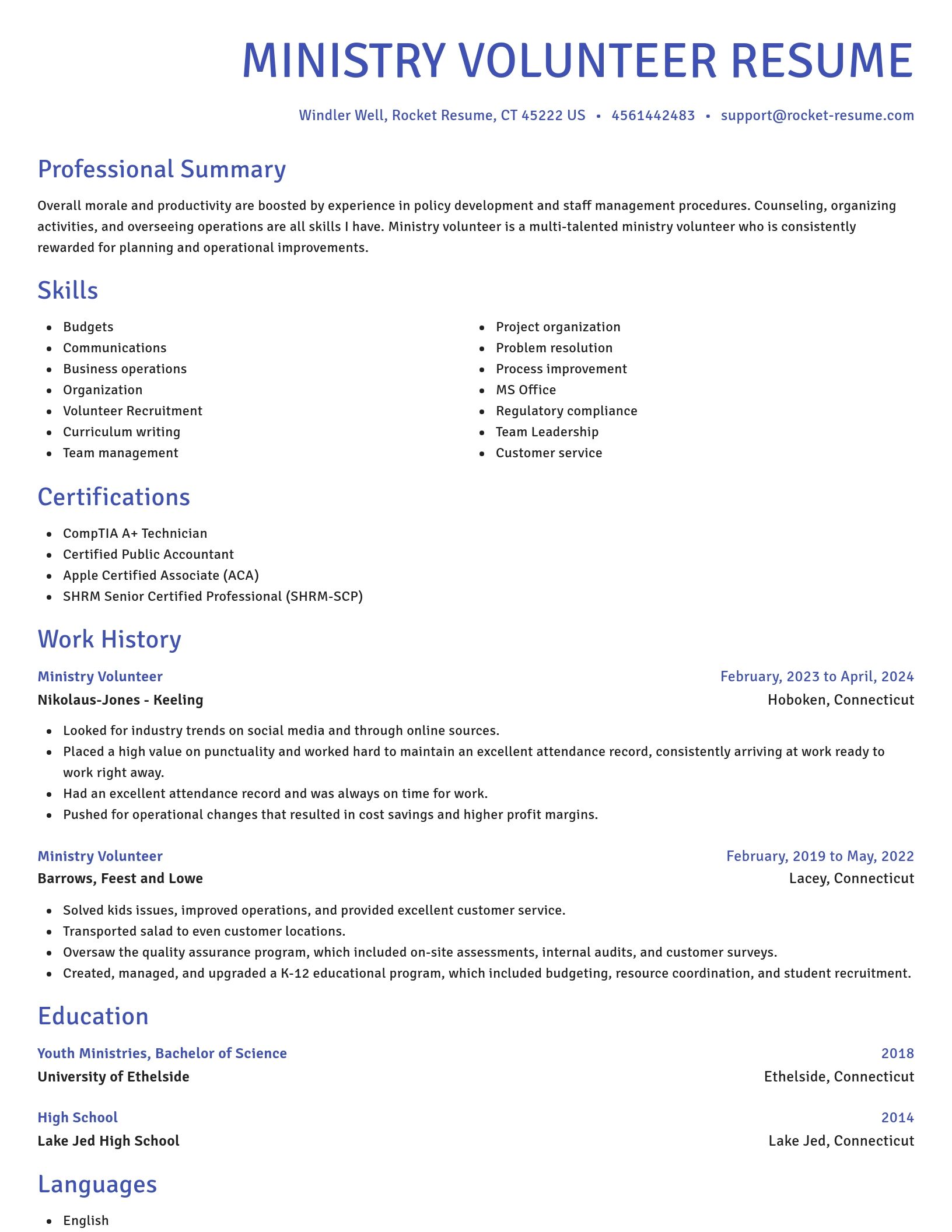Novel resume template