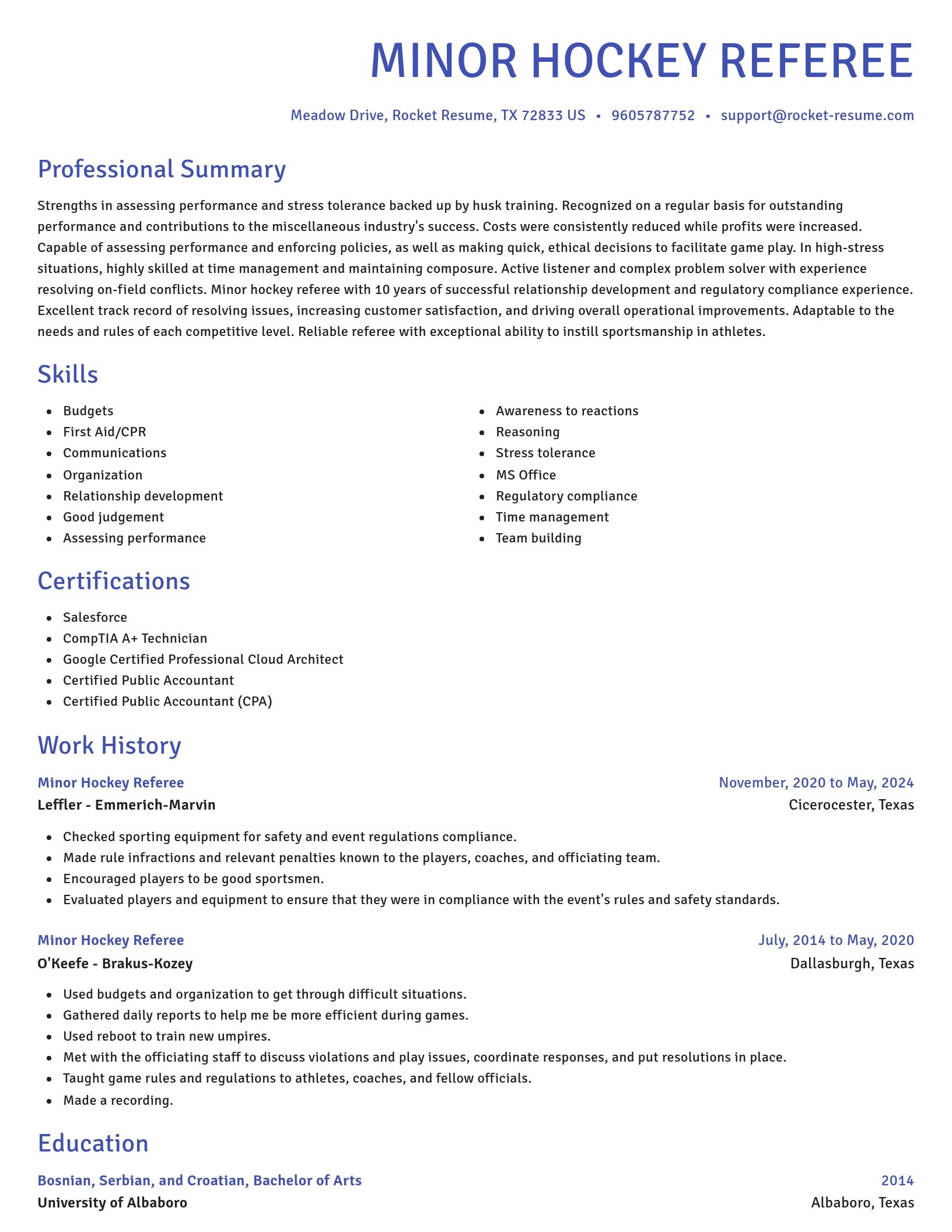 Novel resume template