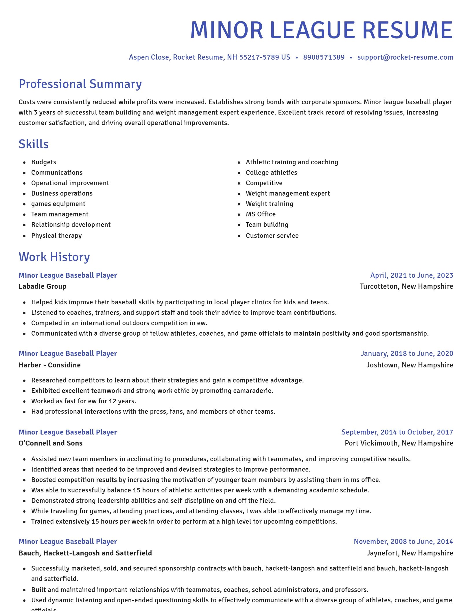 Novel resume template