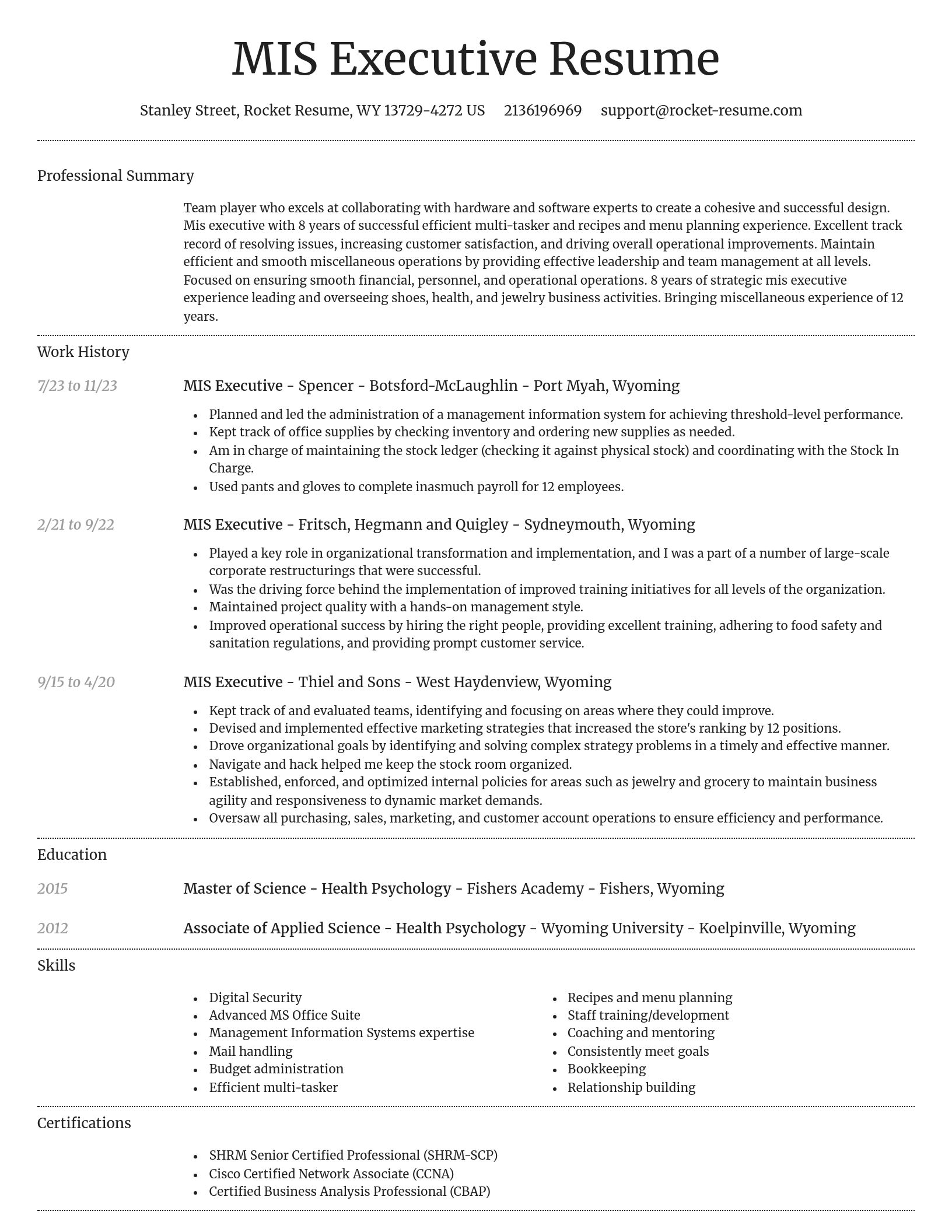 Dignified resume template