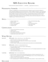 MIS Executive resume template