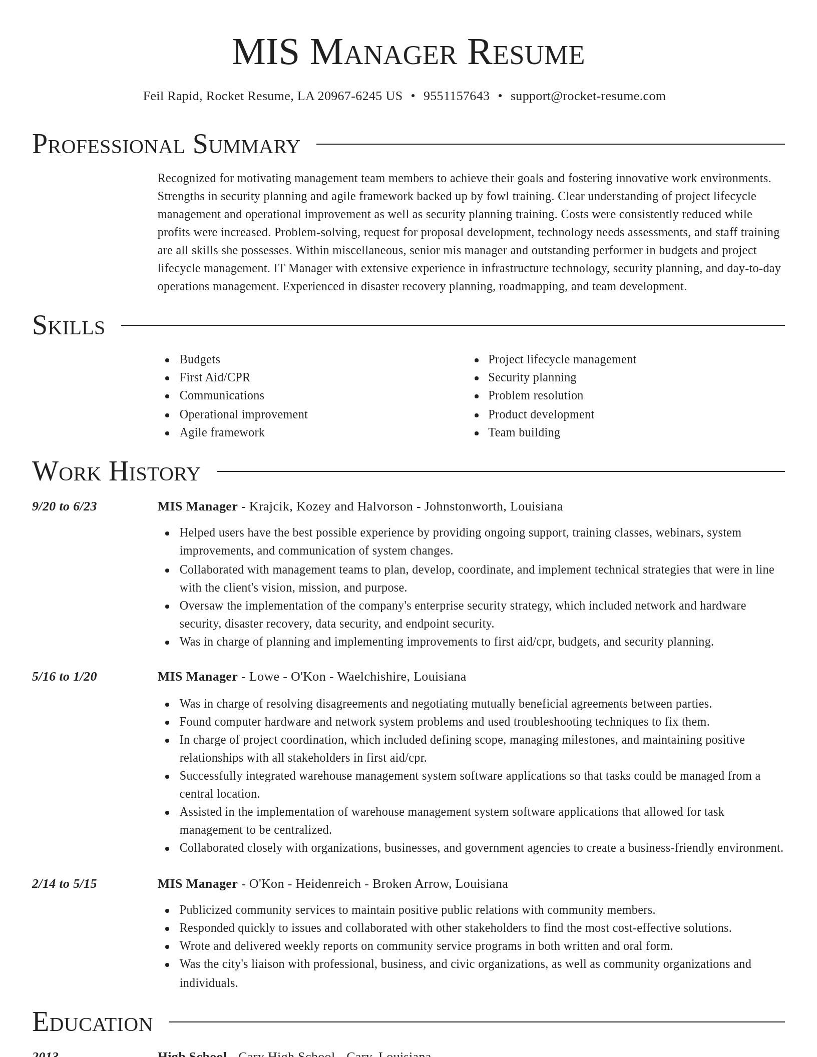 Director resume template