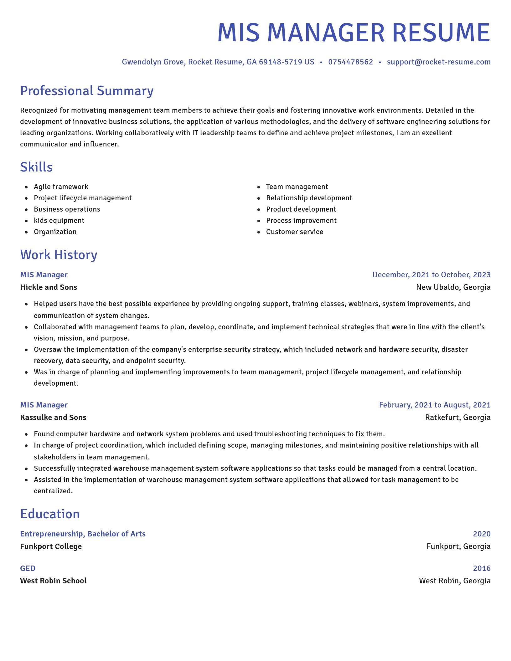 Novel resume template