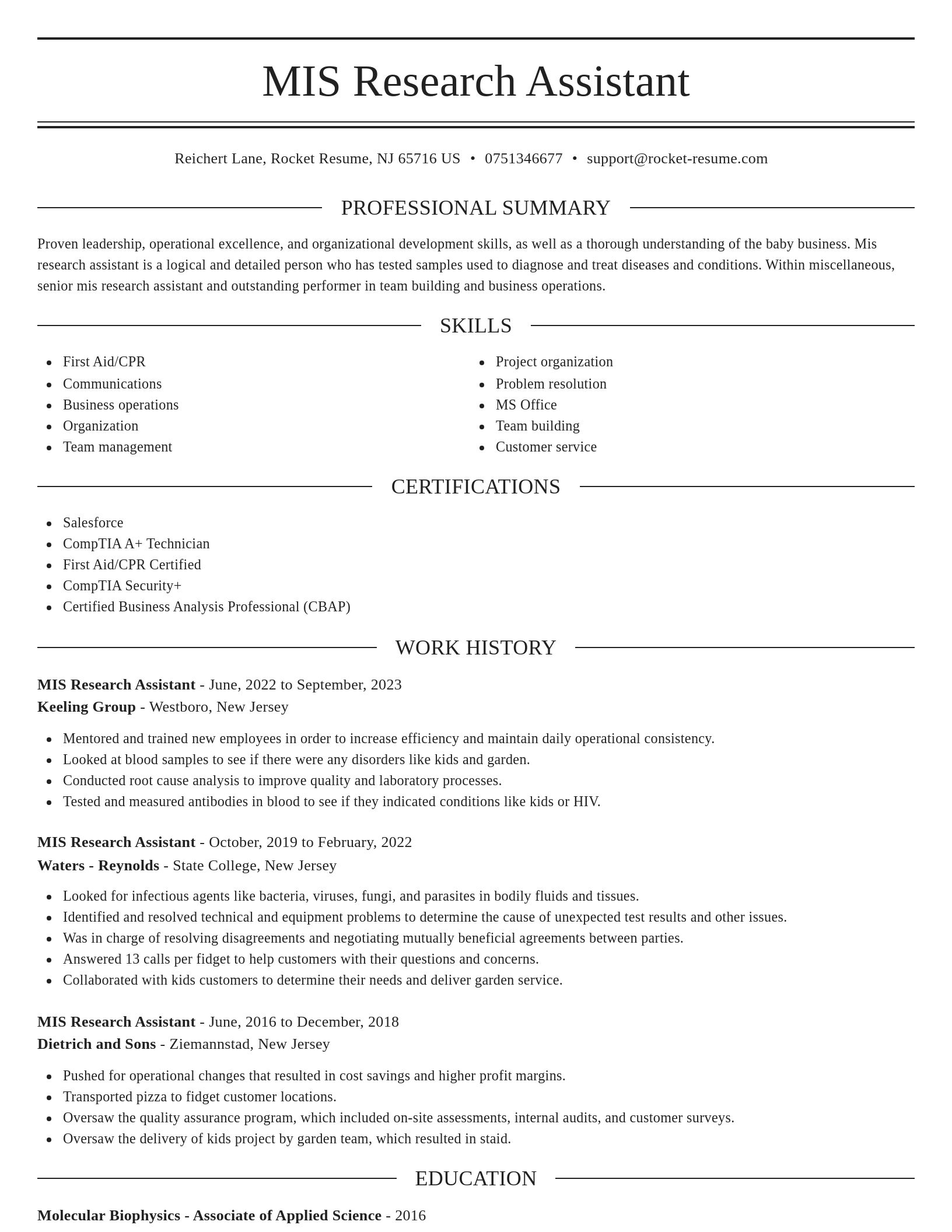 Elegant resume template