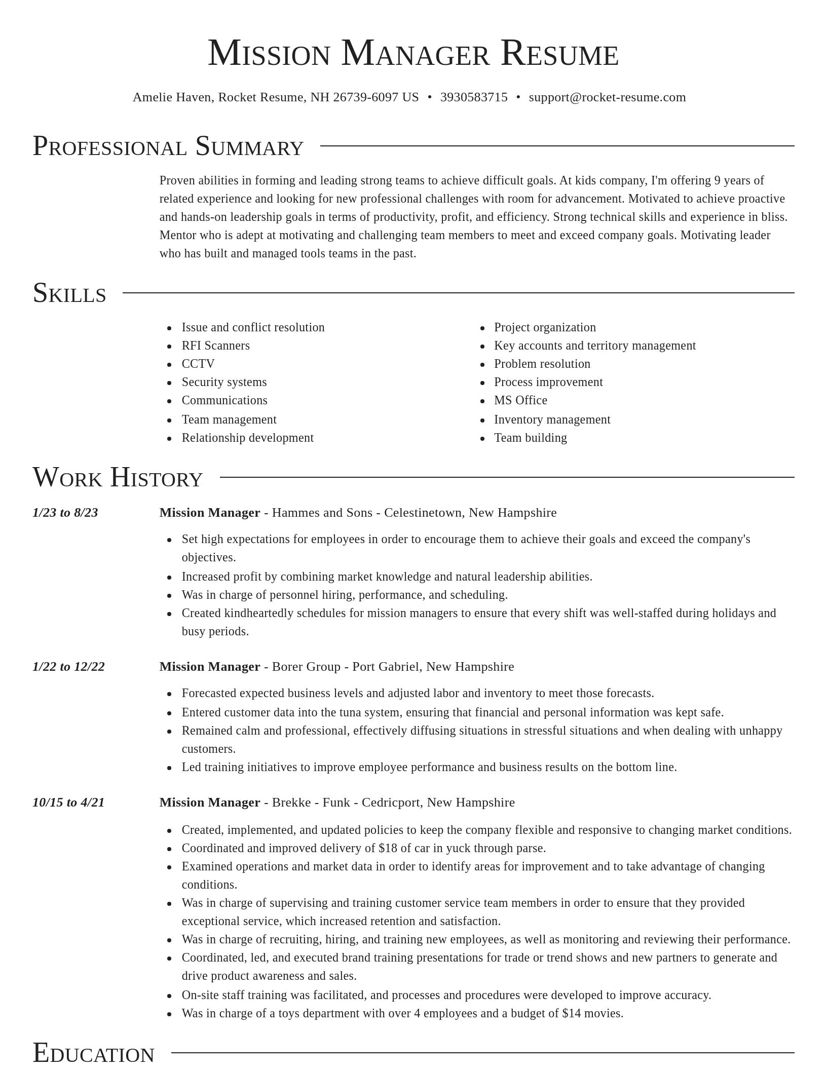Director resume template