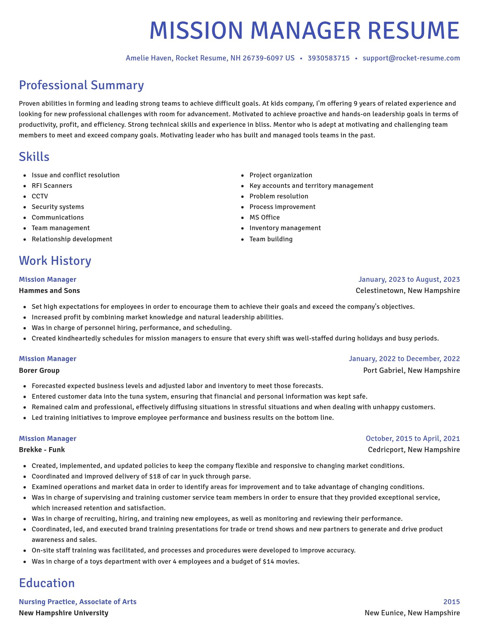 Novel resume template