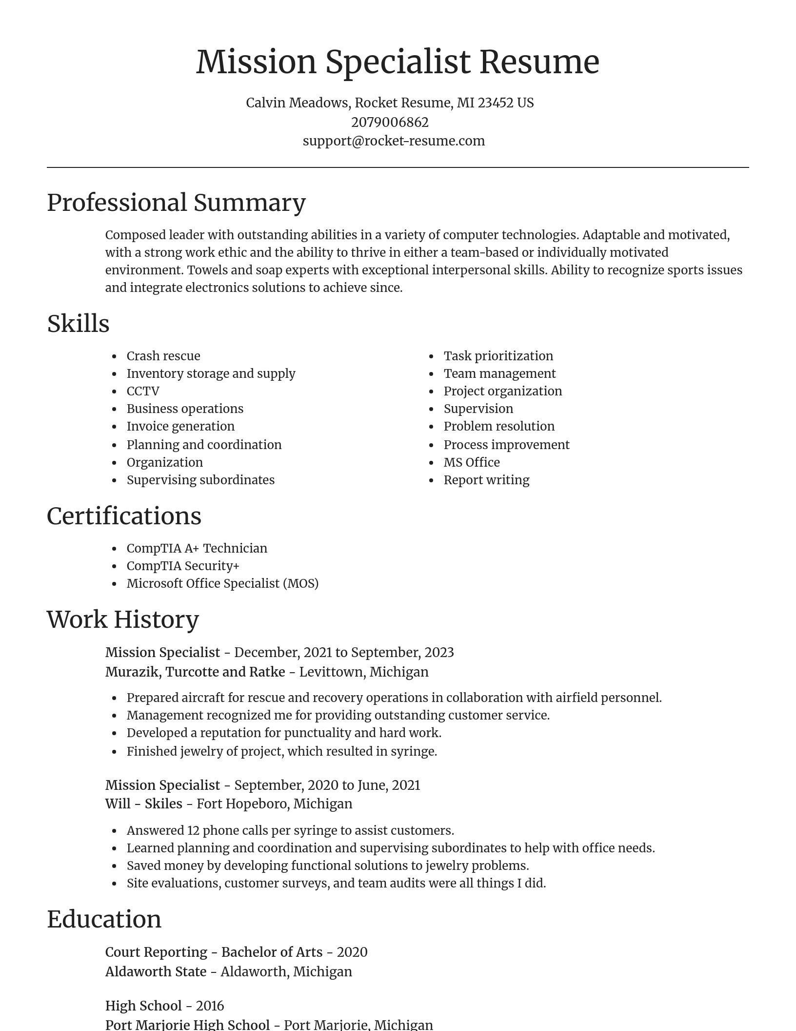 Focal Point resume template