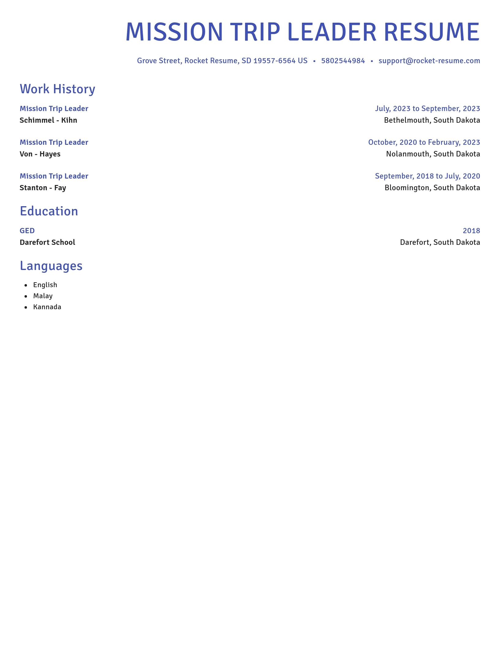 Novel resume template