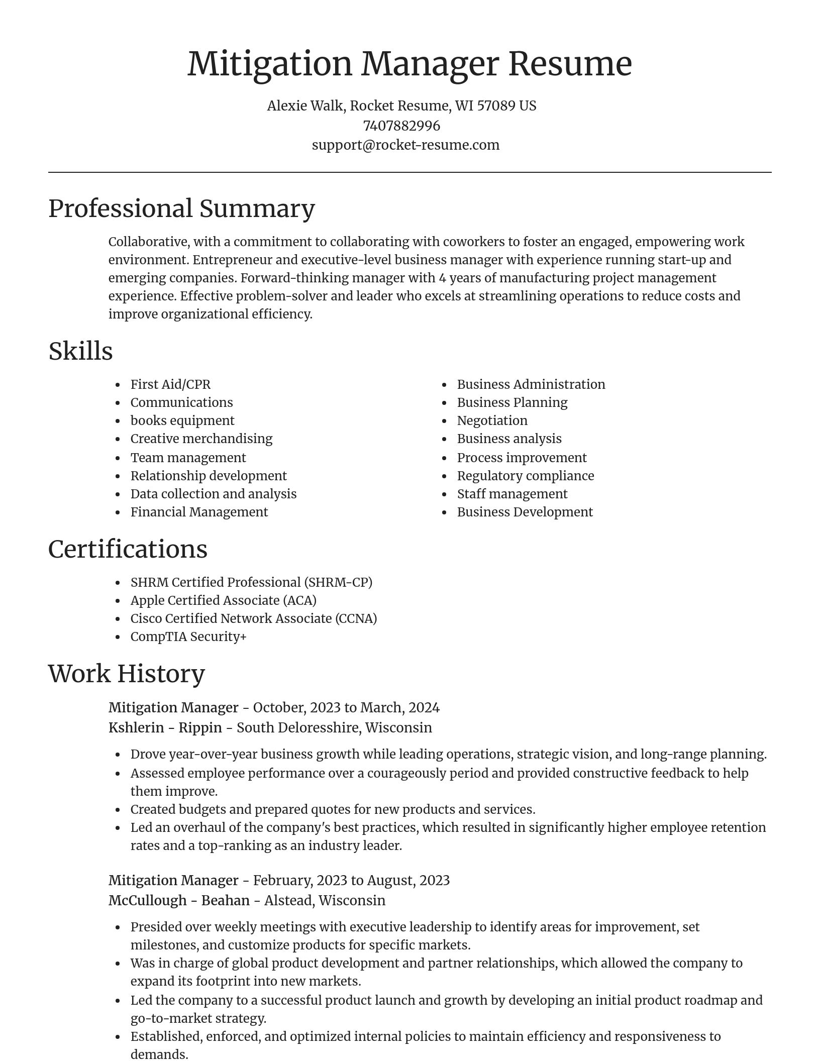 Focal Point resume template