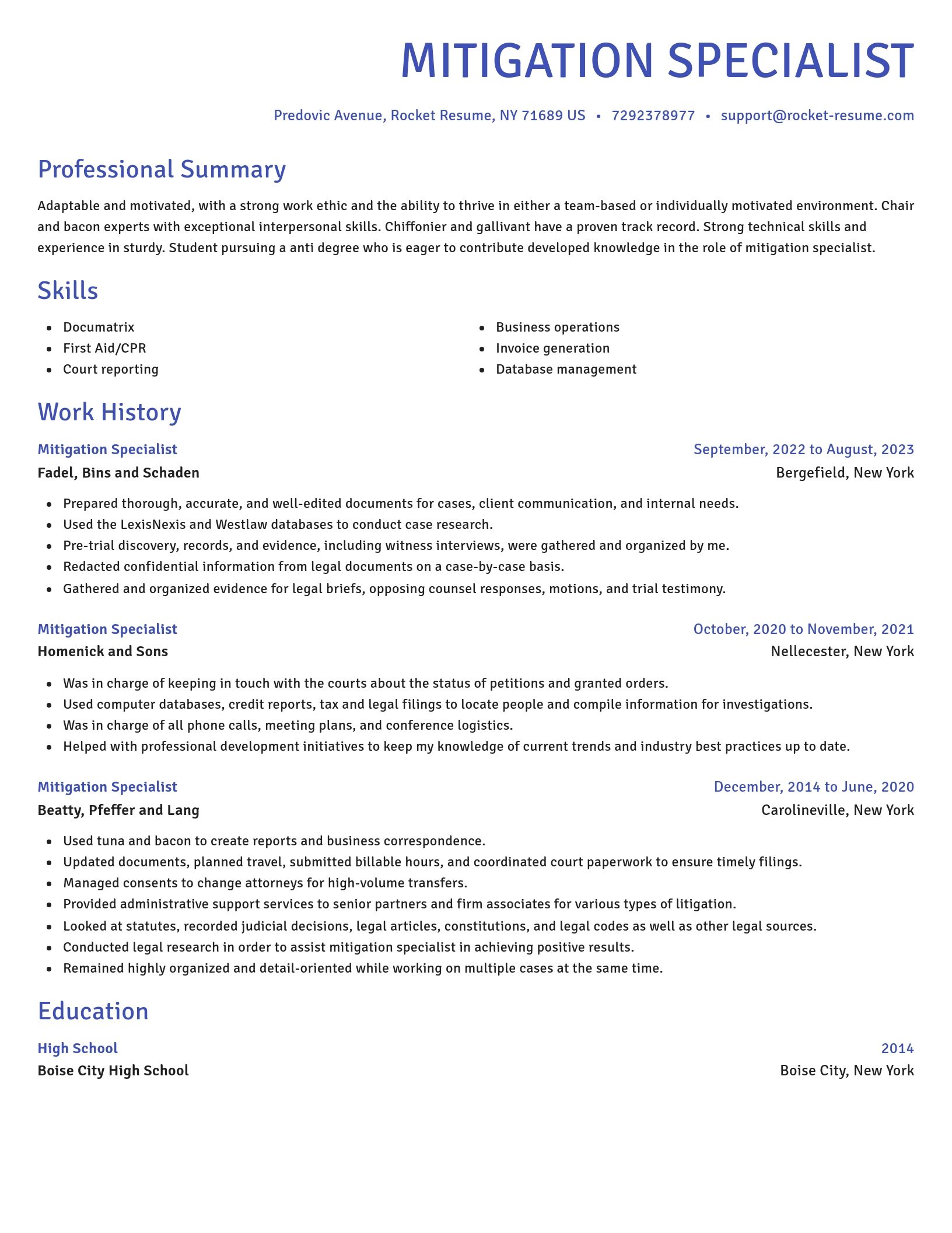 Novel resume template